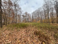 0 County Road D Property Photo 11