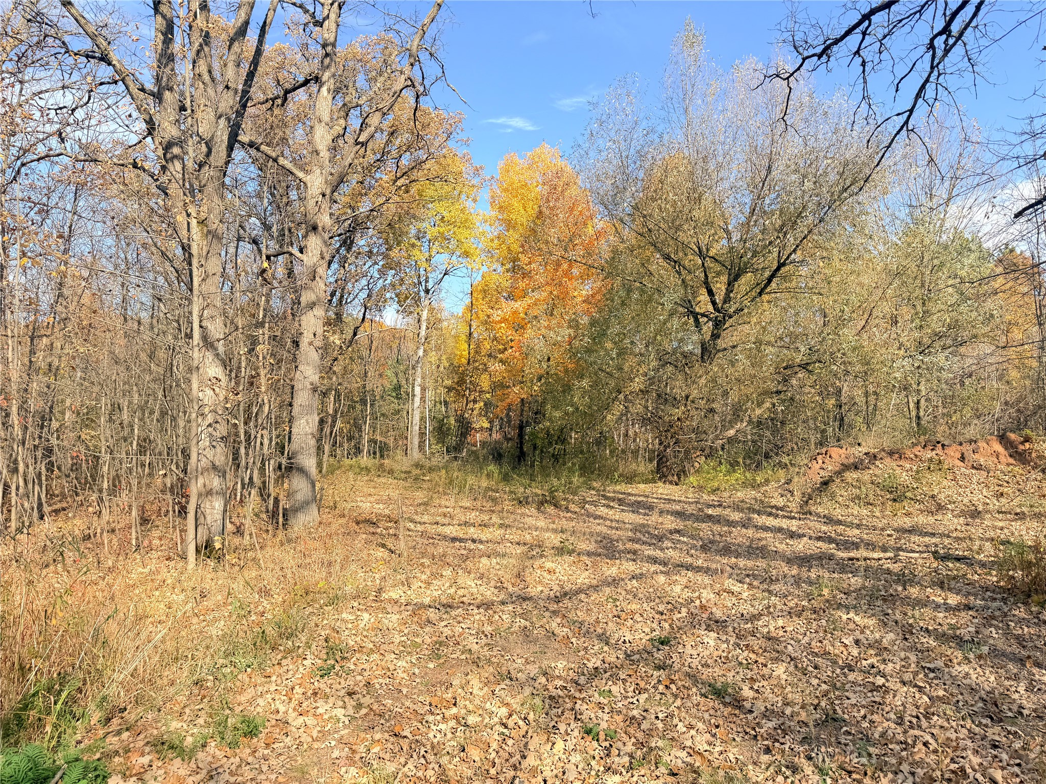 0 County Highway C Property Photo 14