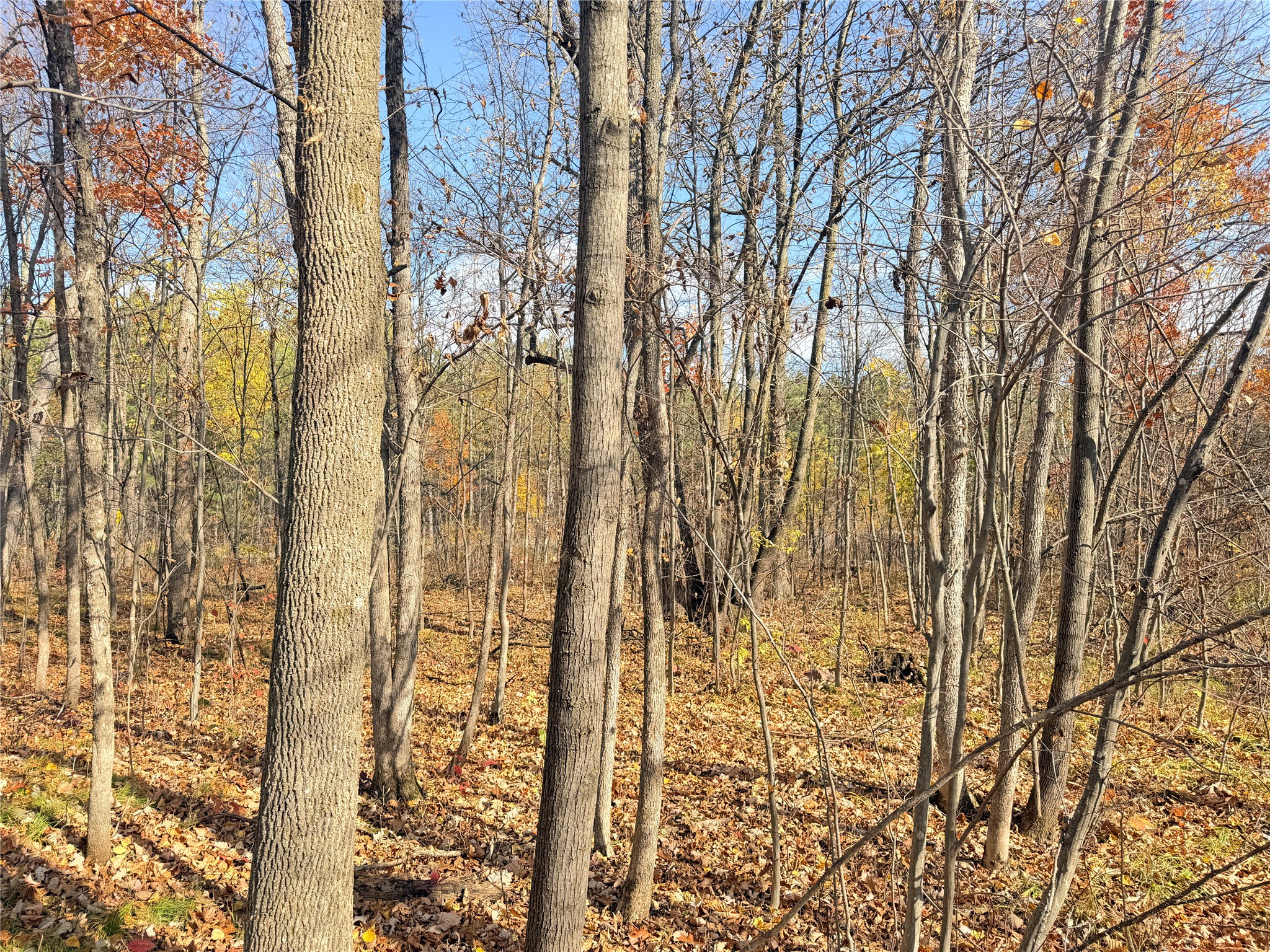 0 County Highway C Property Photo 16