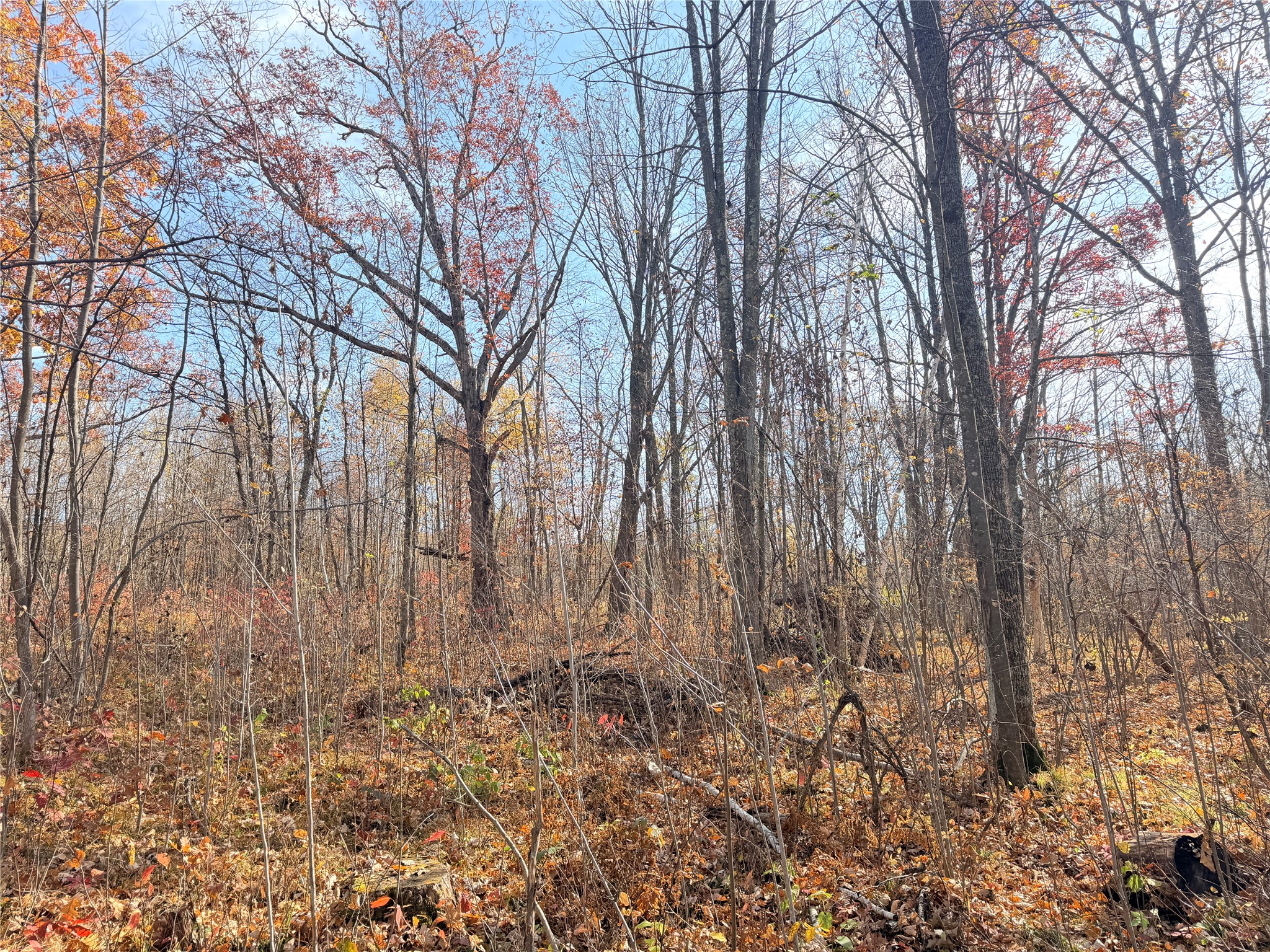 0 County Highway C Property Photo 18