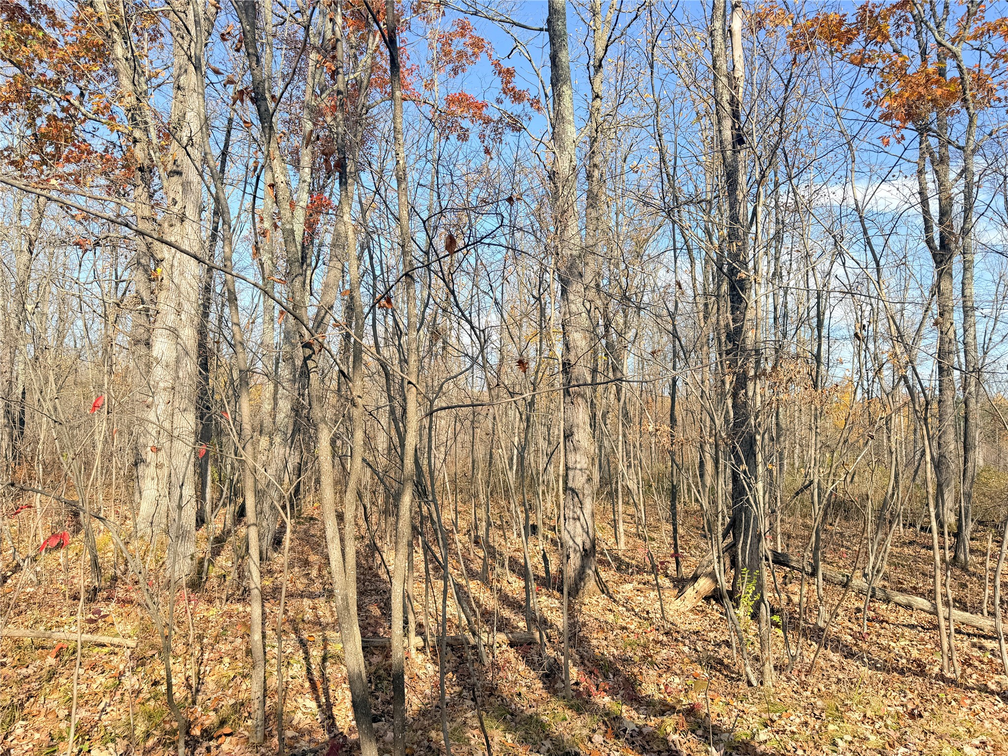 0 County Highway C Property Photo 20