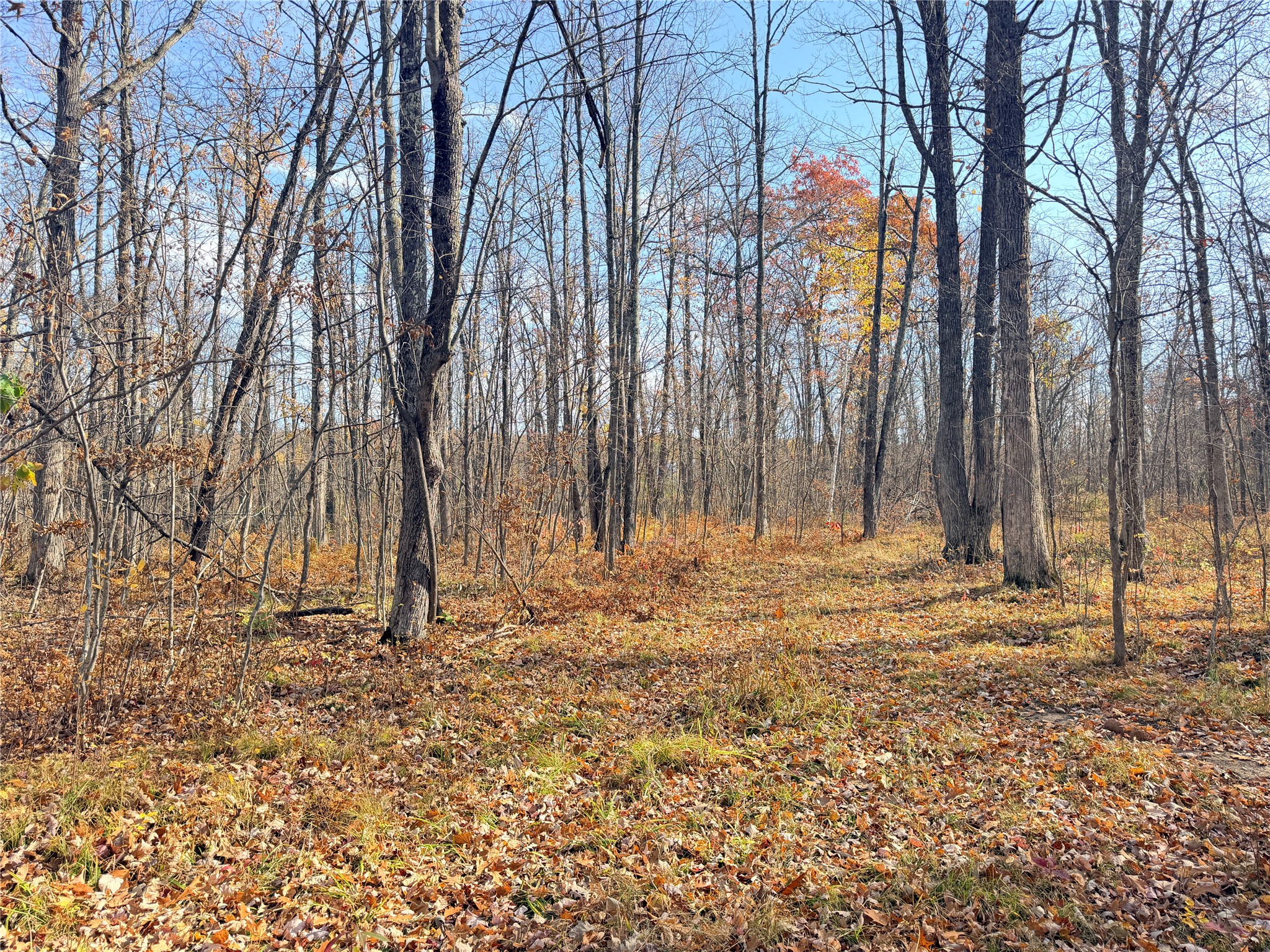 0 County Highway C Property Photo 22