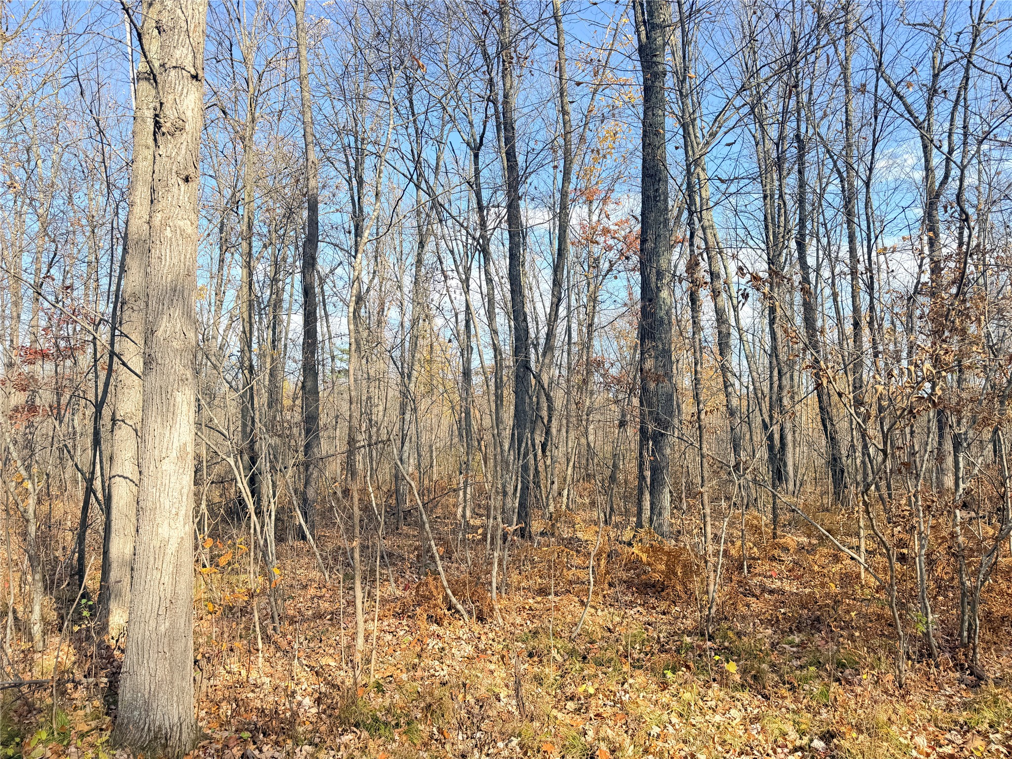 0 County Highway C Property Photo 24