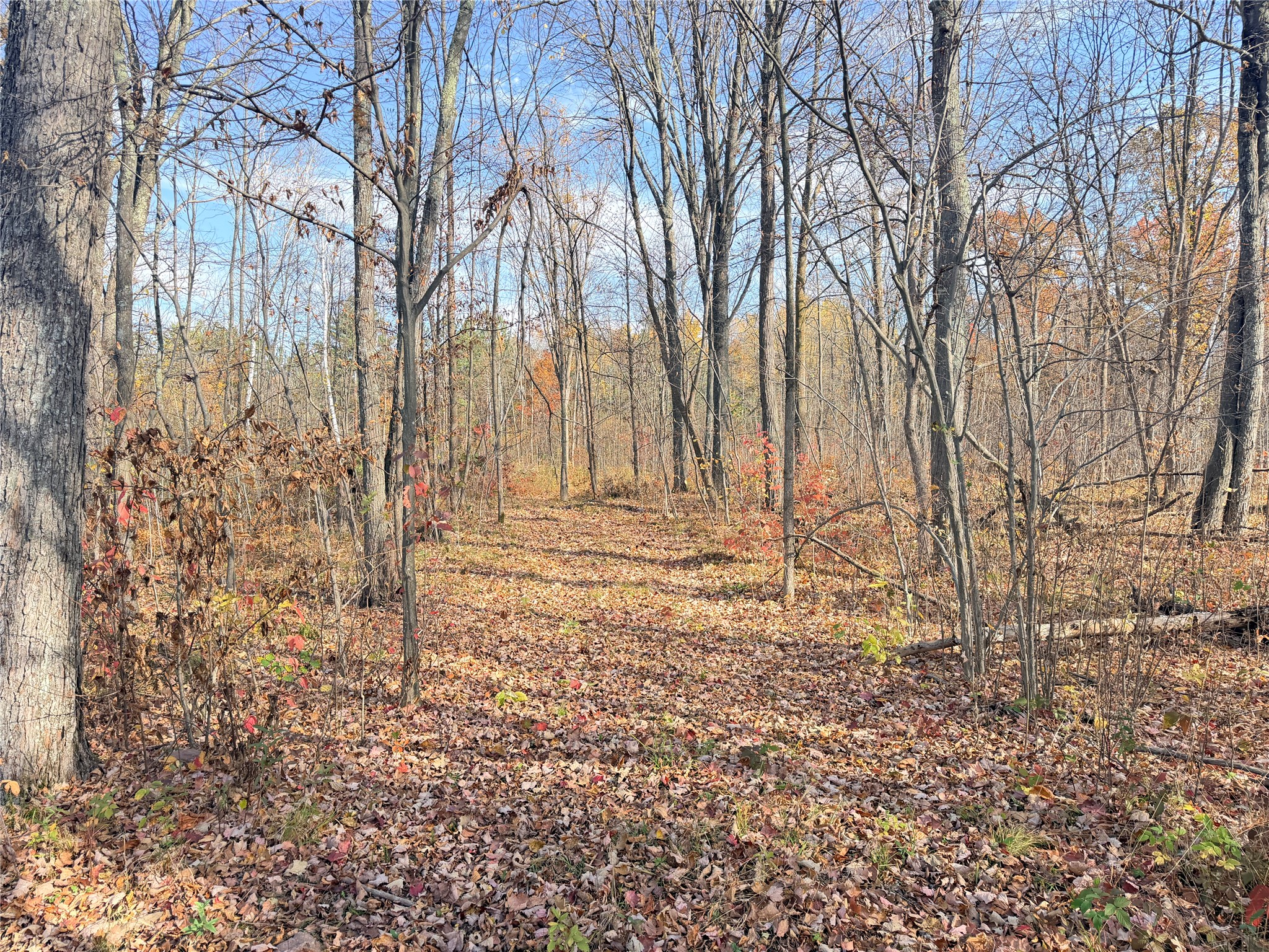 0 County Highway C Property Photo 34