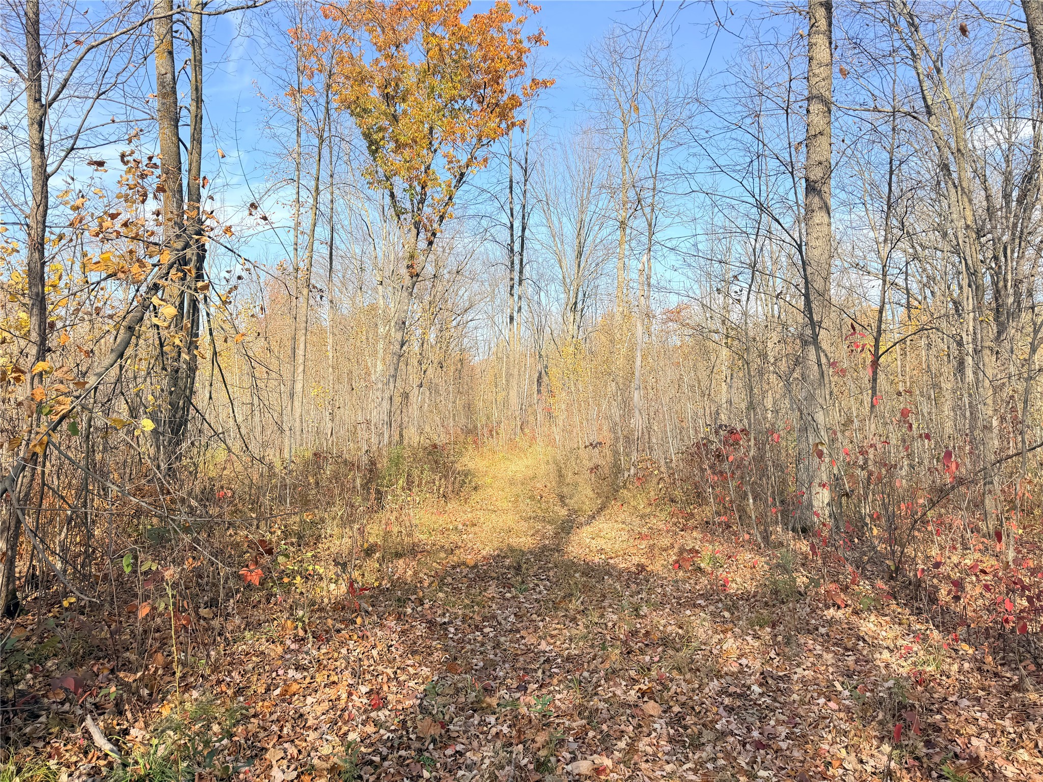 0 County Highway C Property Photo 36
