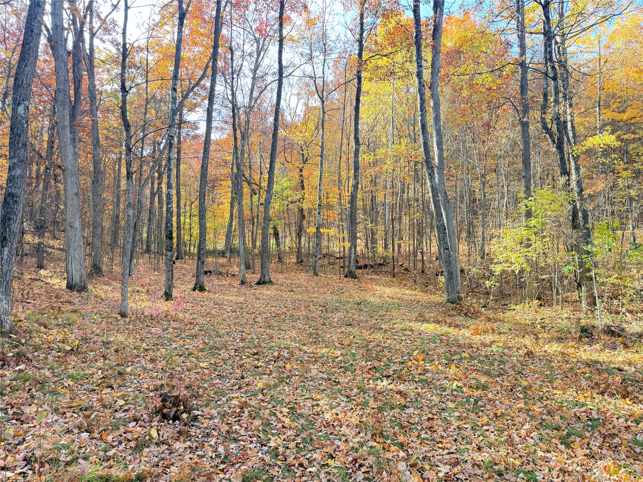 0 County Highway C Property Photo 42