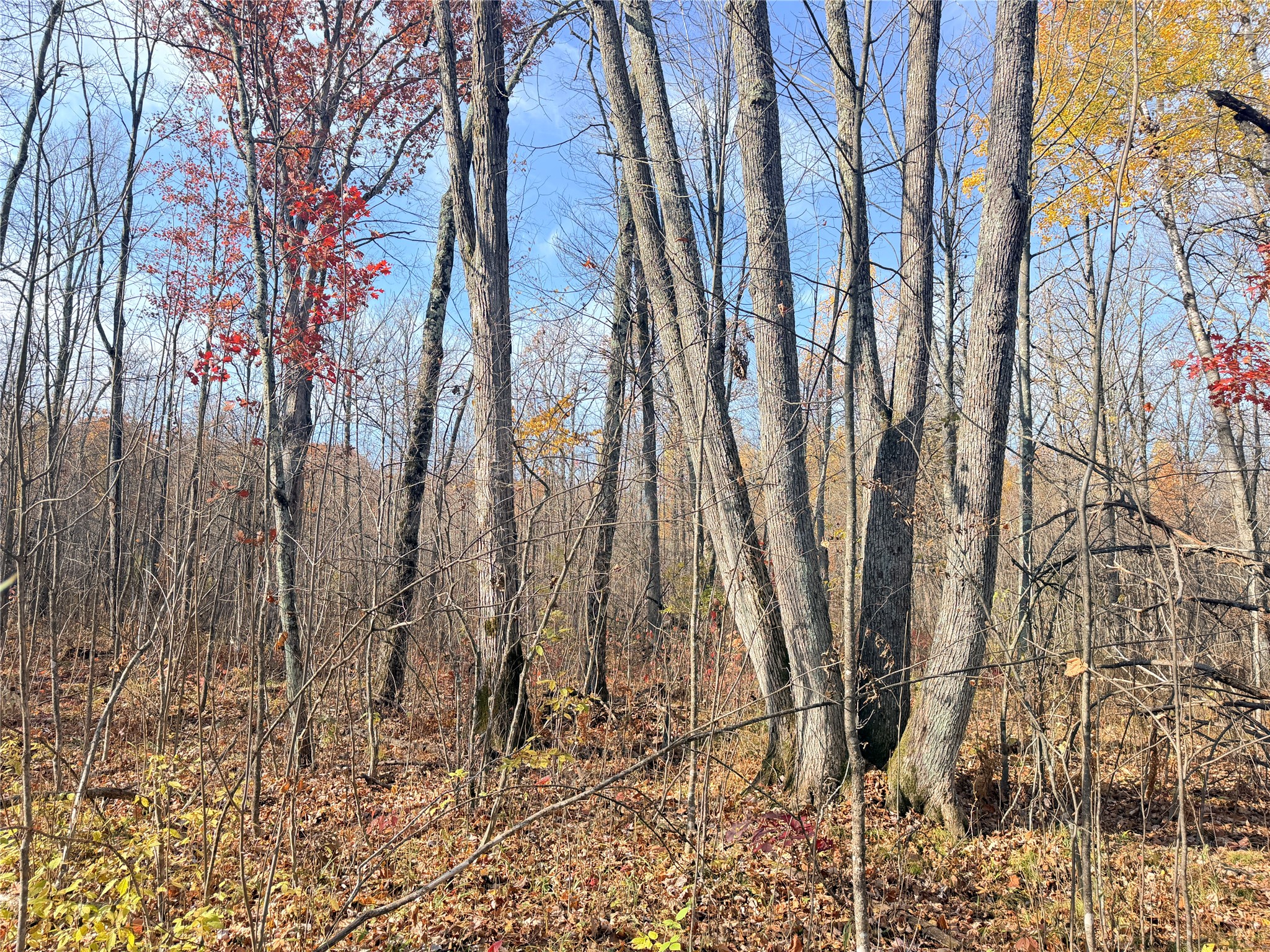 0 County Highway C Property Photo 50