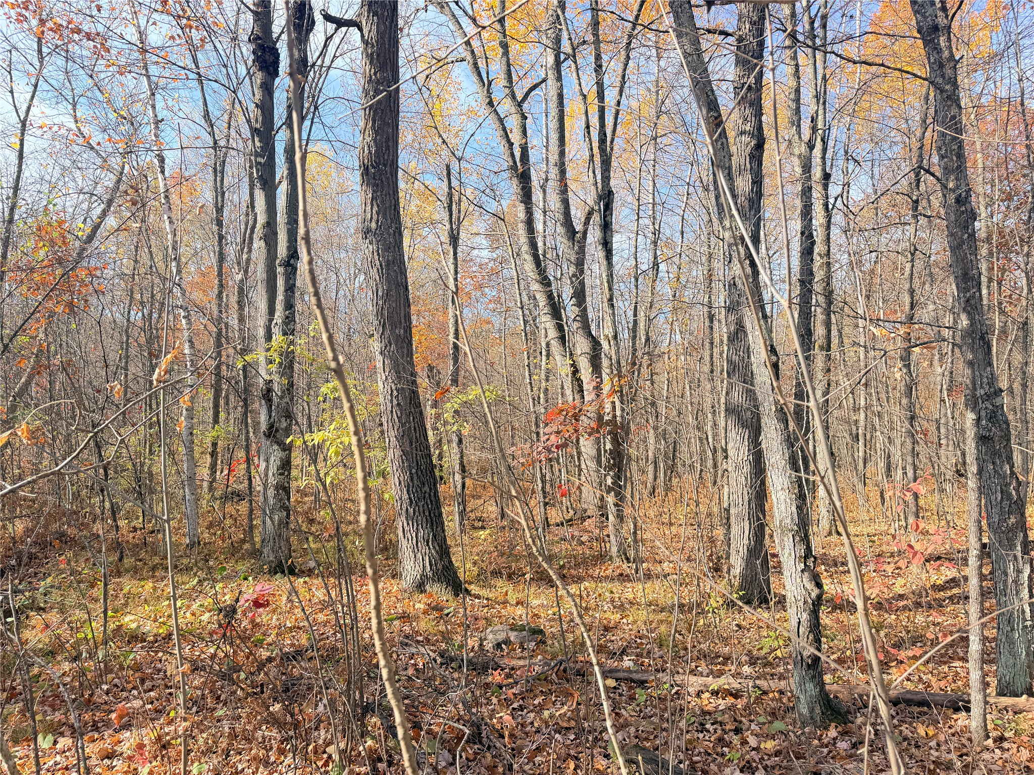 0 County Highway C Property Photo 53