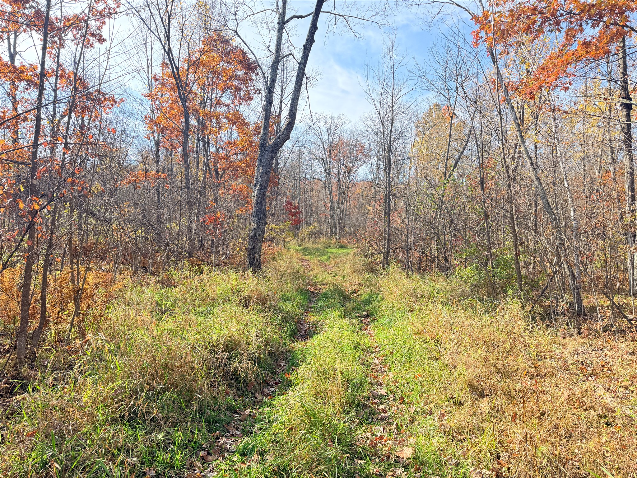 0 County Highway C Property Photo 55