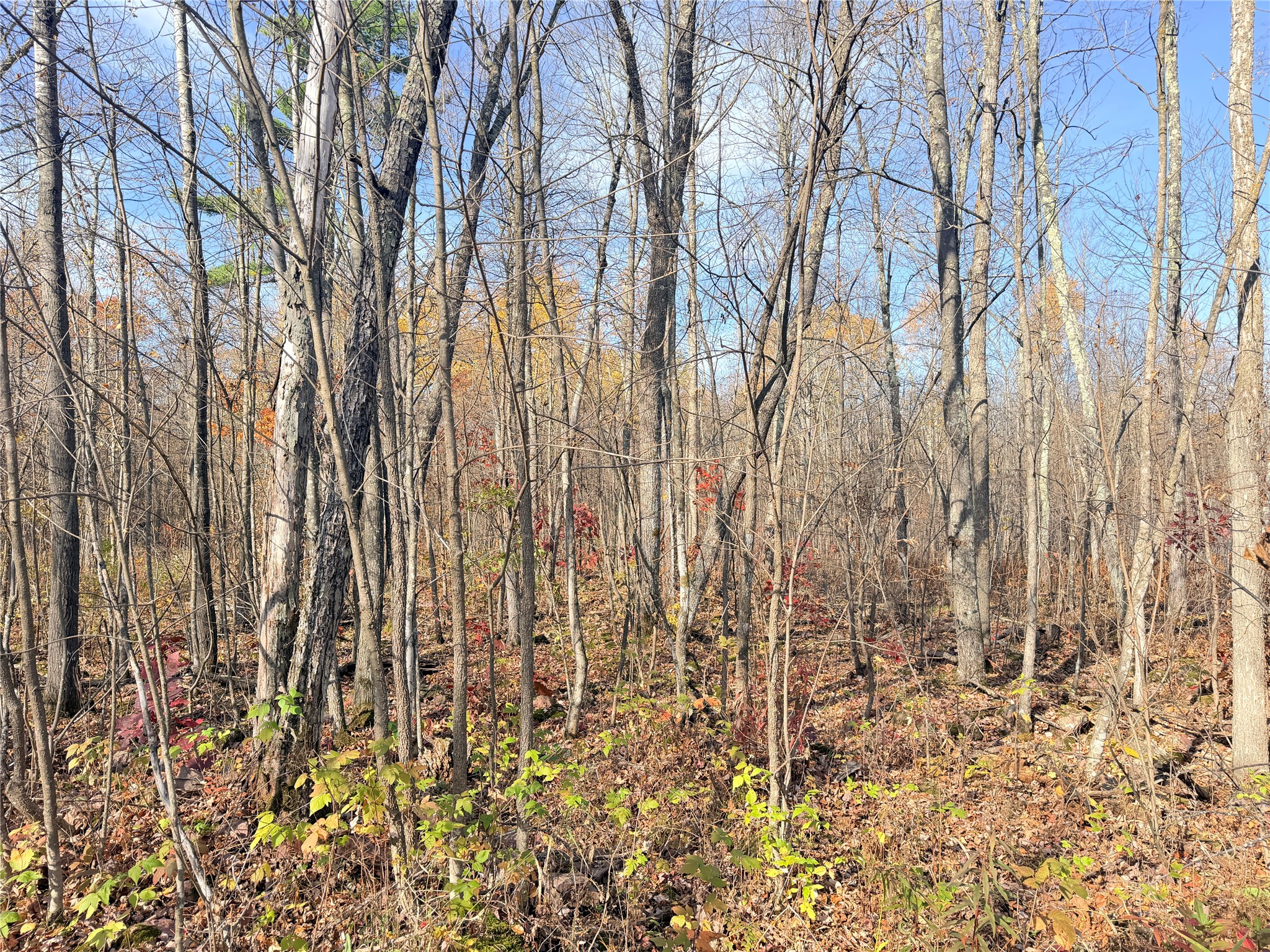 0 County Highway C Property Photo 58
