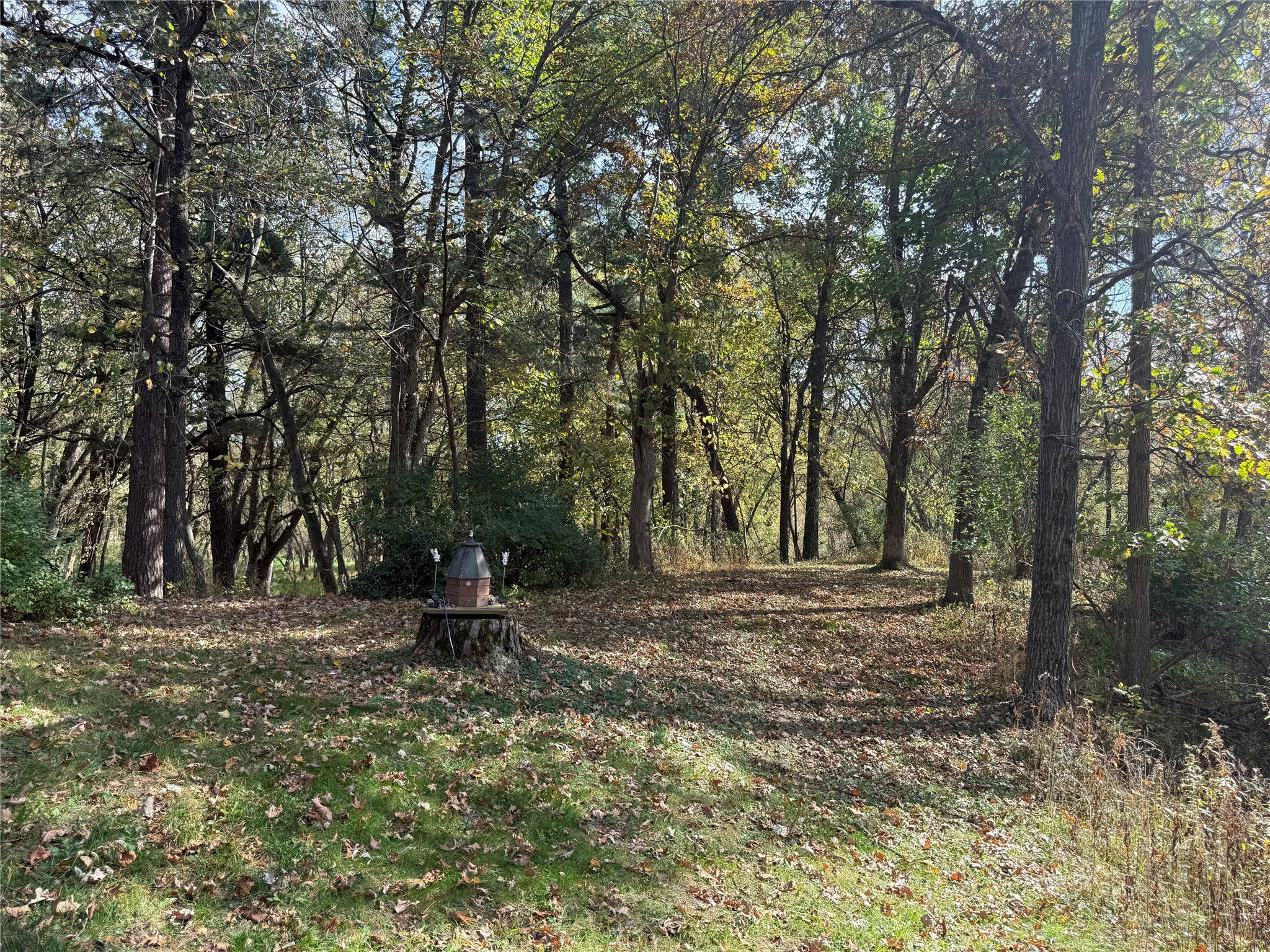 N2108 State Highway 54 Property Photo 9