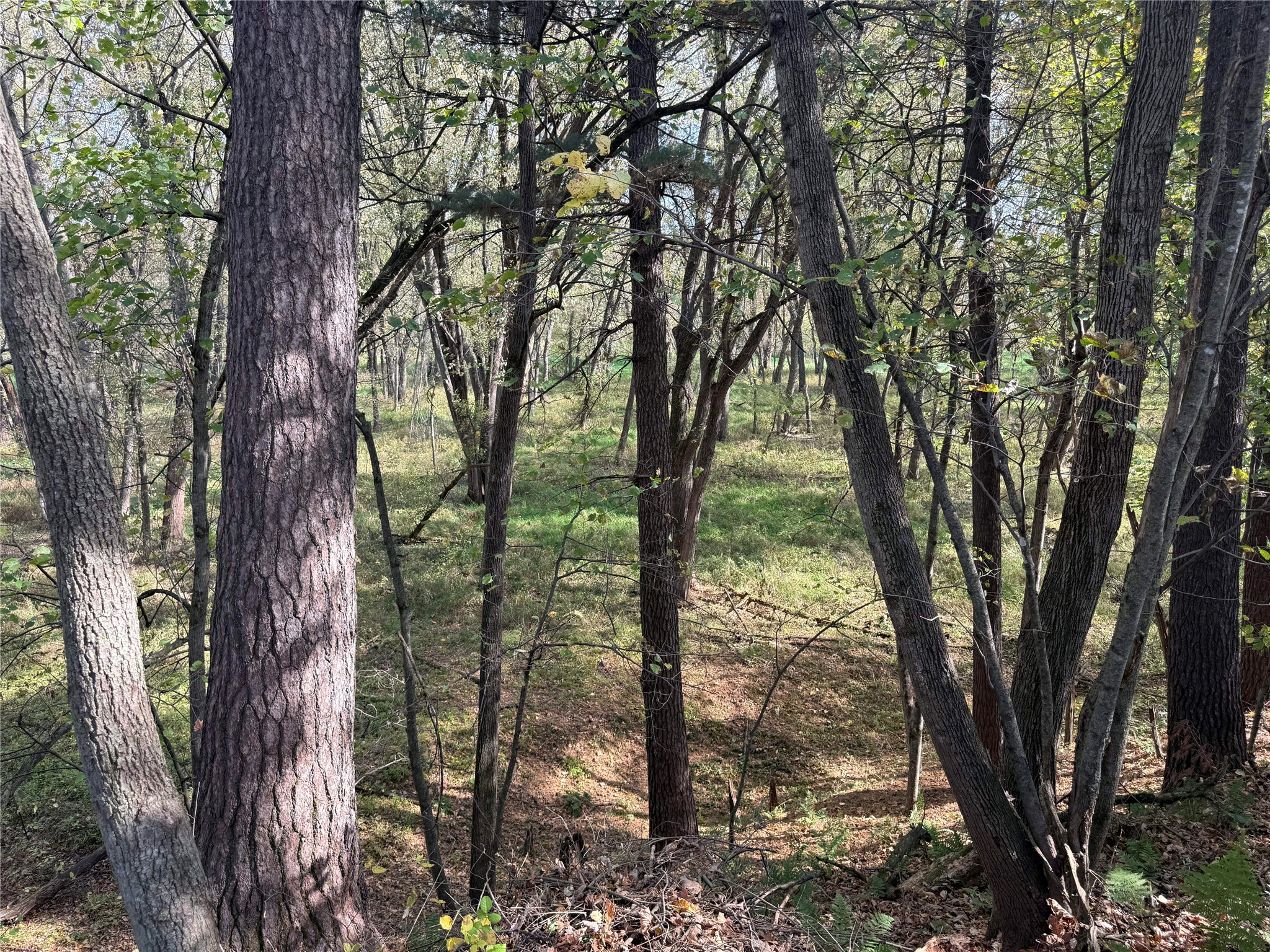 N2108 State Highway 54 Property Photo 10