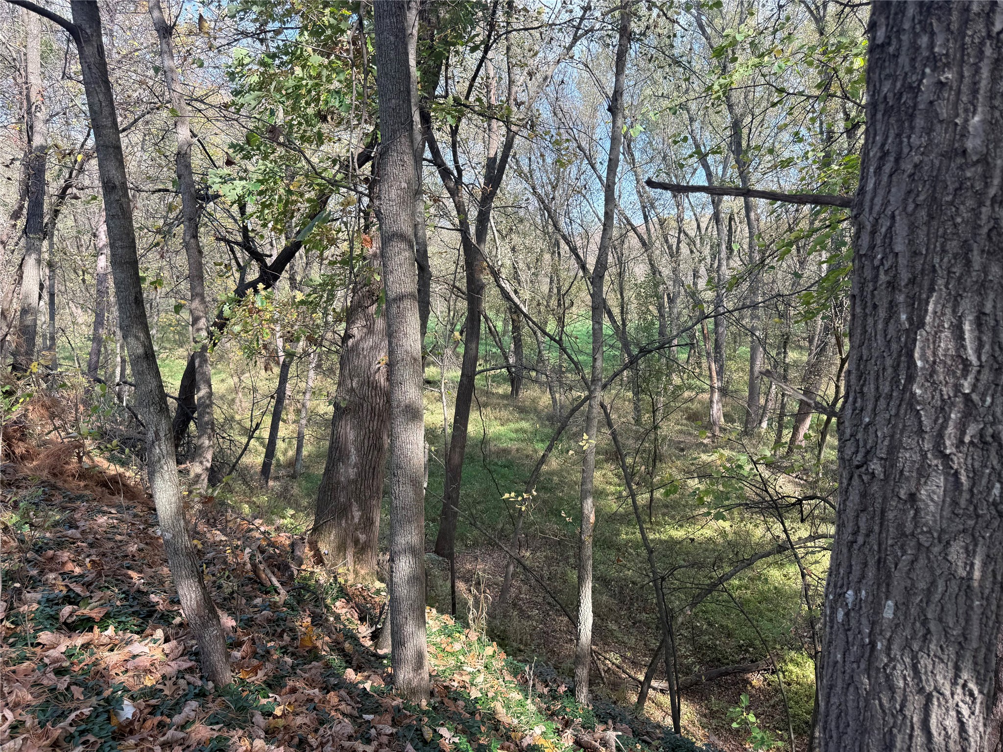 N2108 State Highway 54 Property Photo 11