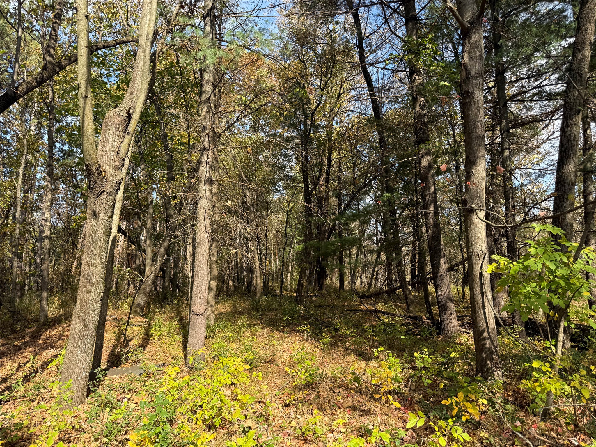 N2108 State Highway 54 Property Photo 12