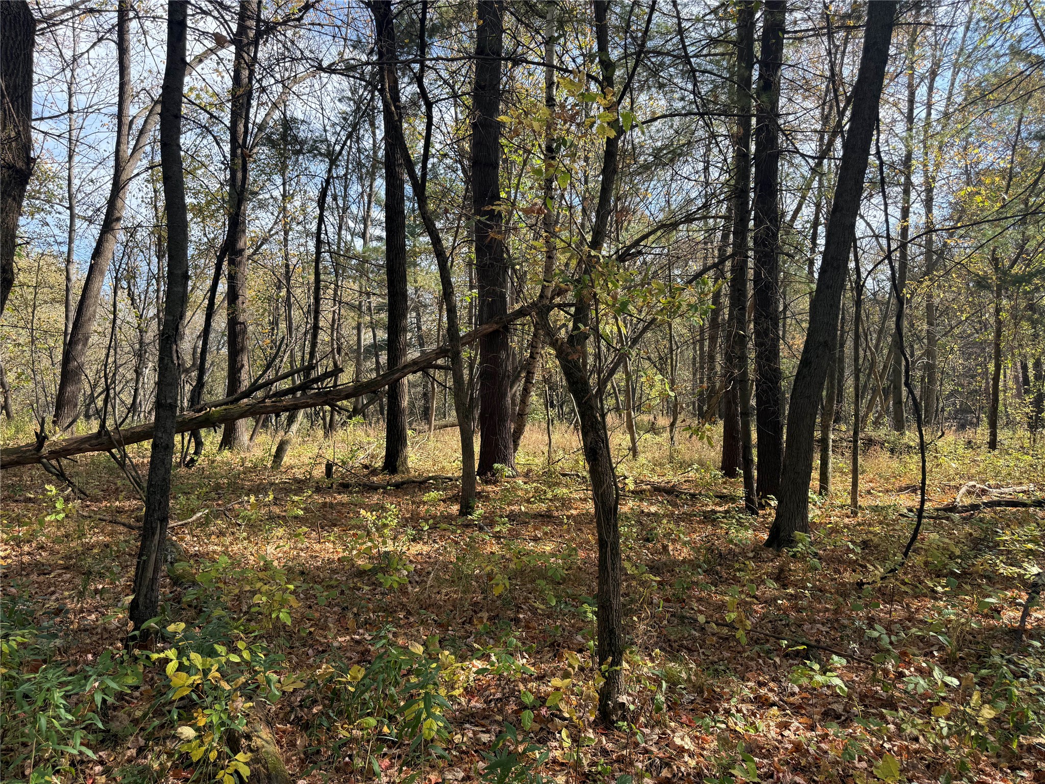 N2108 State Highway 54 Property Photo 13