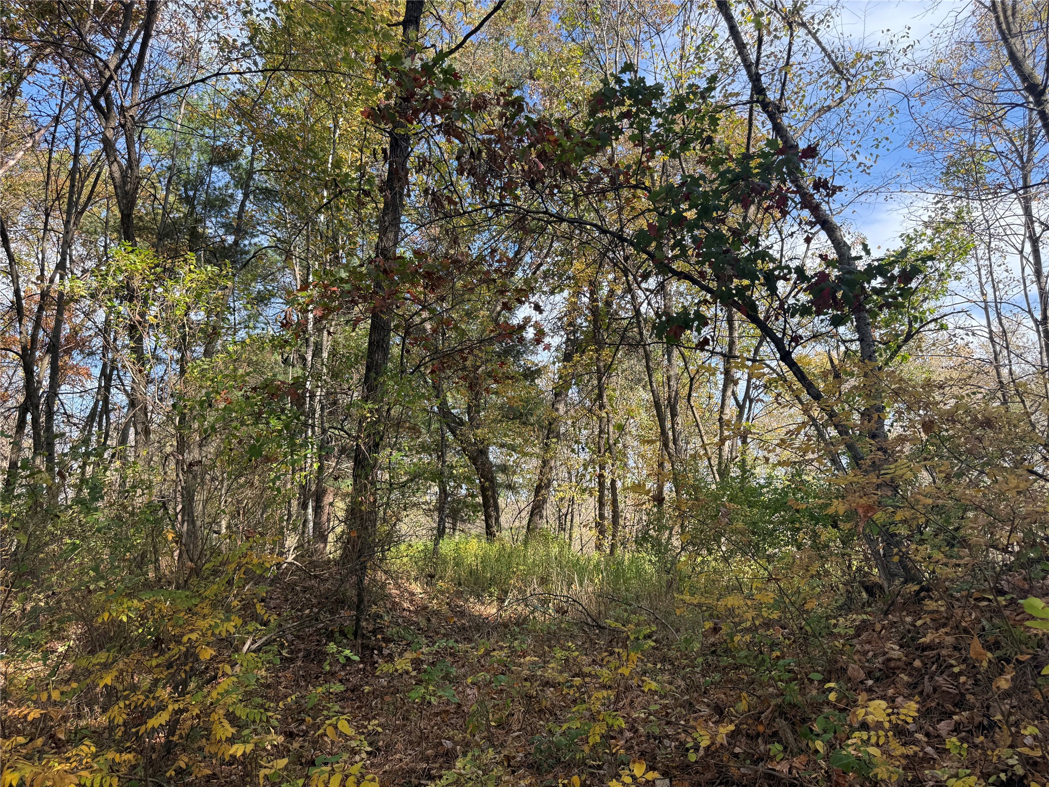 N2108 State Highway 54 Property Photo 14