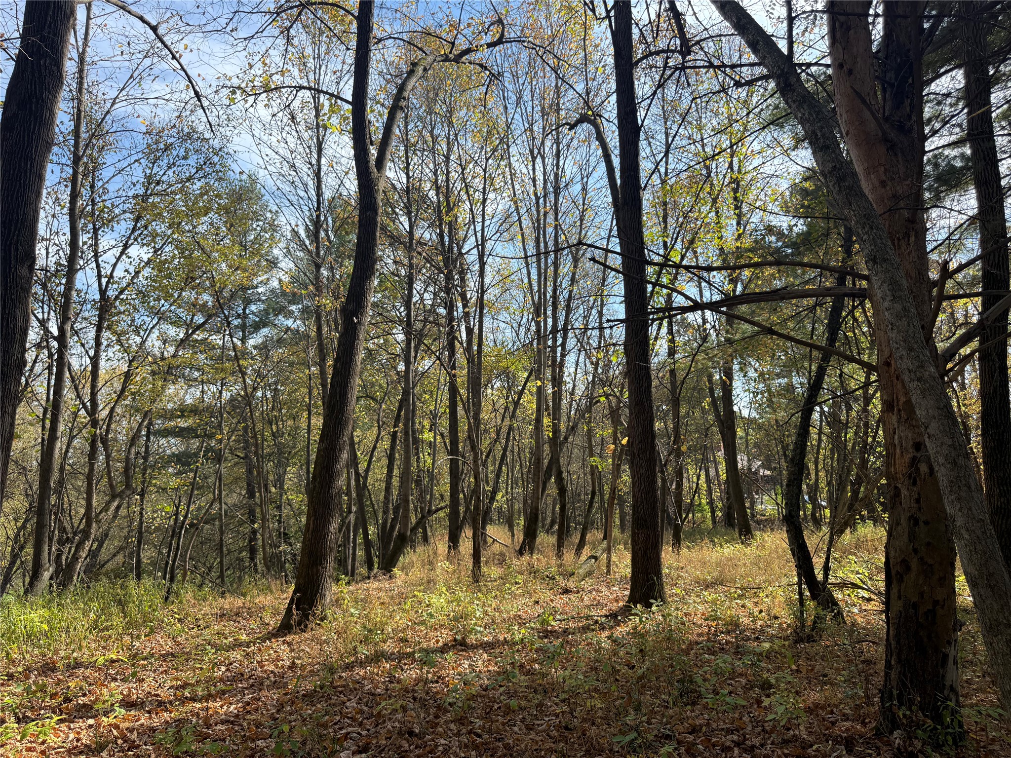 N2108 State Highway 54 Property Photo 15