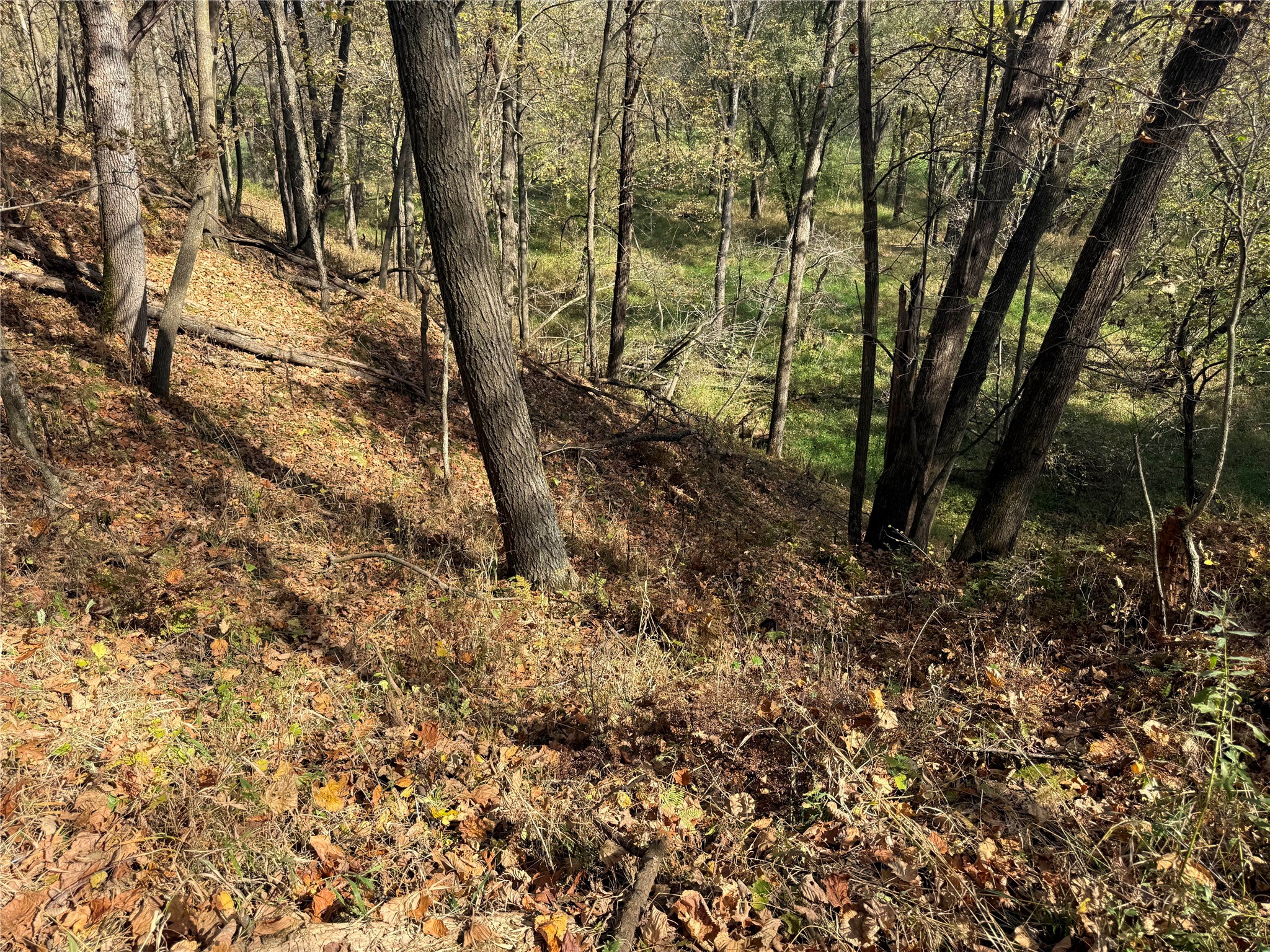 N2108 State Highway 54 Property Photo 16