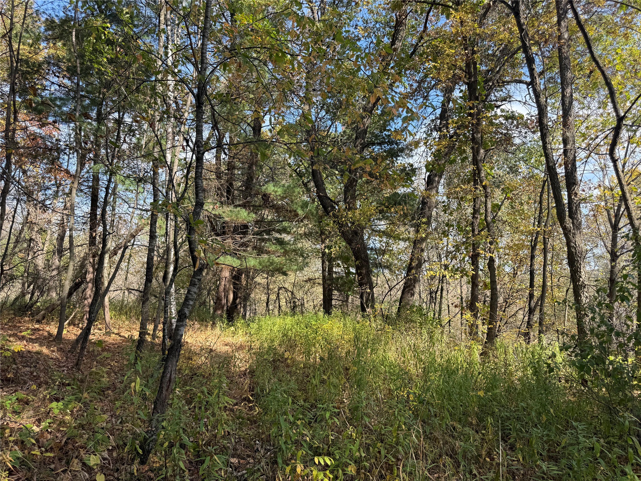 N2108 State Highway 54 Property Photo 17