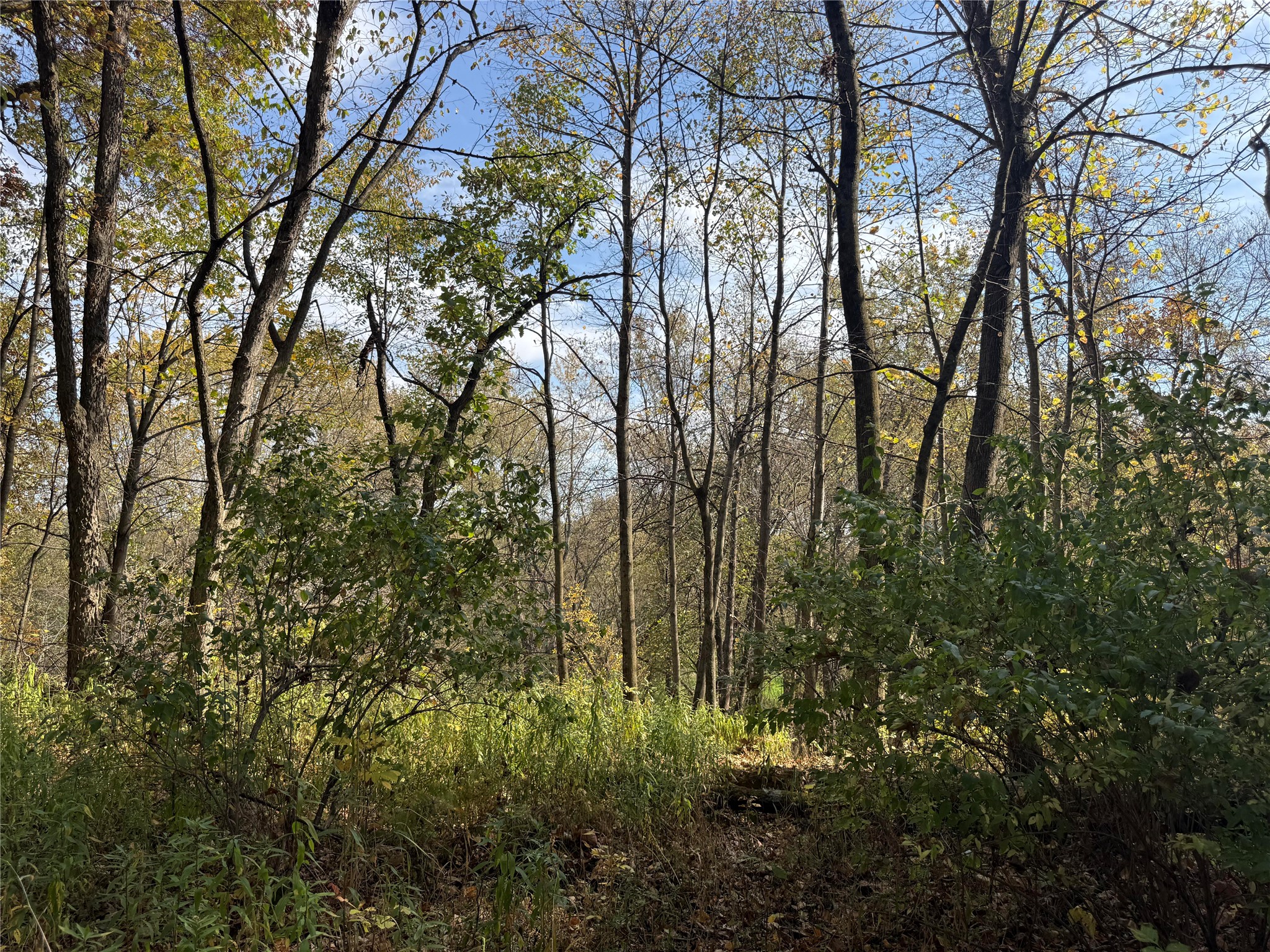 N2108 State Highway 54 Property Photo 18