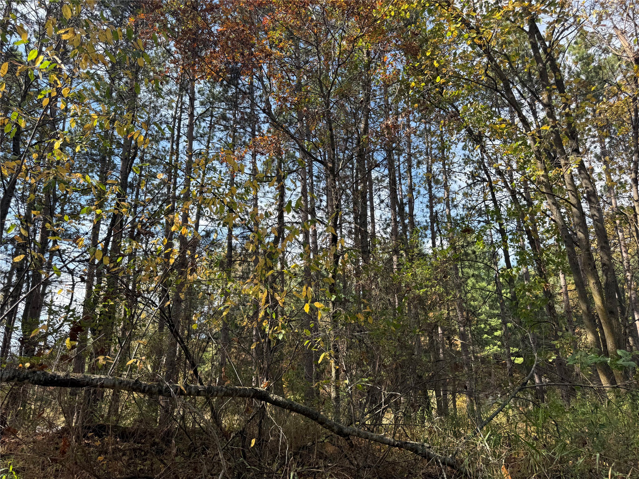 N2108 State Highway 54 Property Photo 19