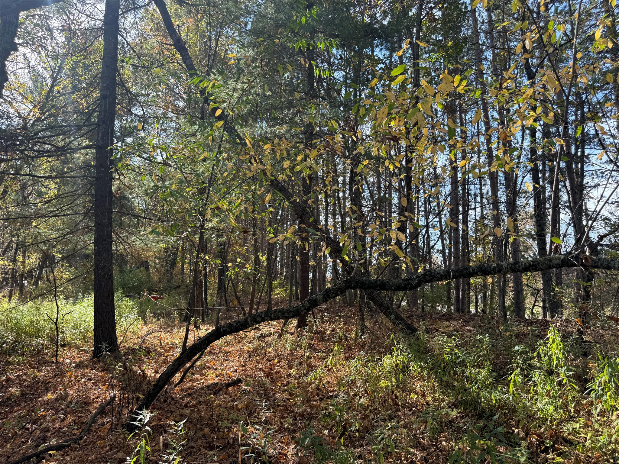N2108 State Highway 54 Property Photo 20