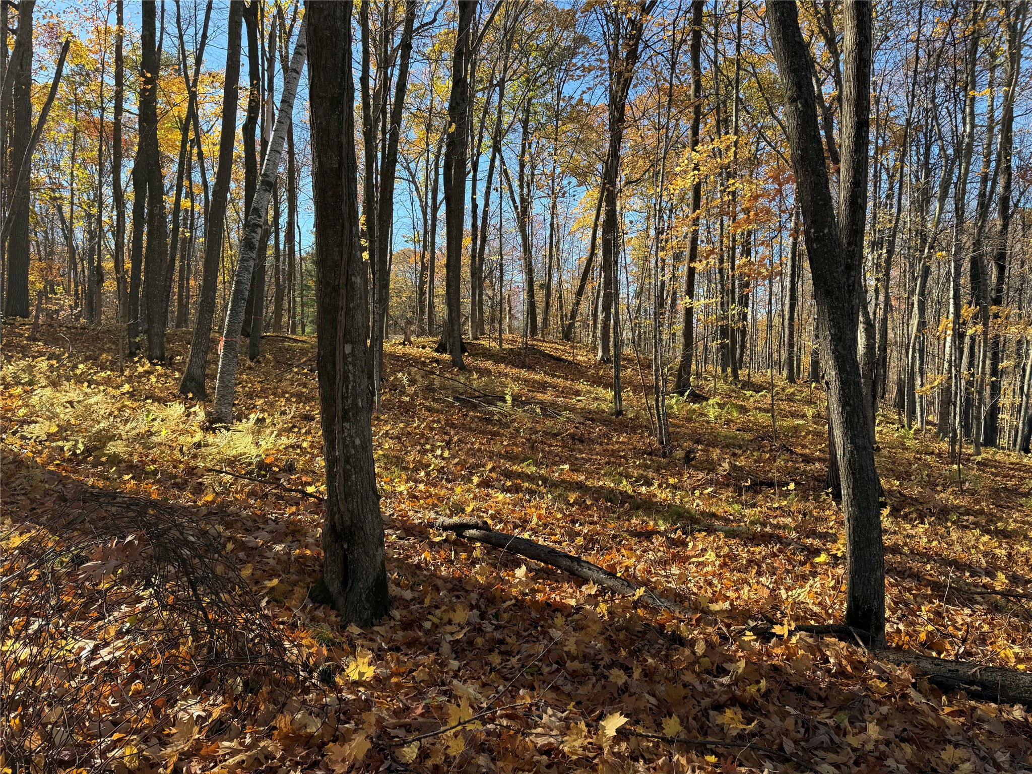Xxx County Highway Md Property Photo 2