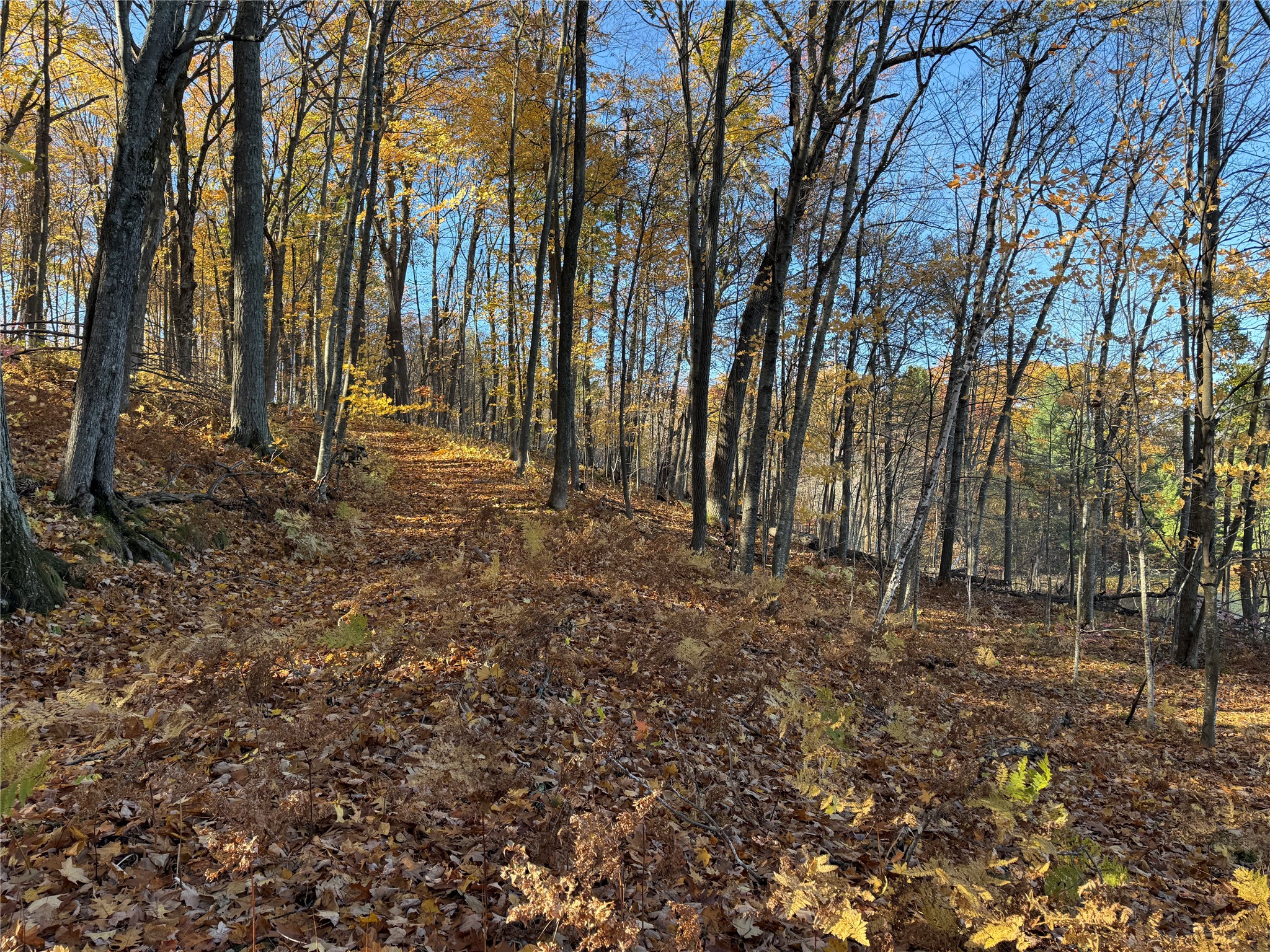 Xxx County Highway Md Property Photo 16