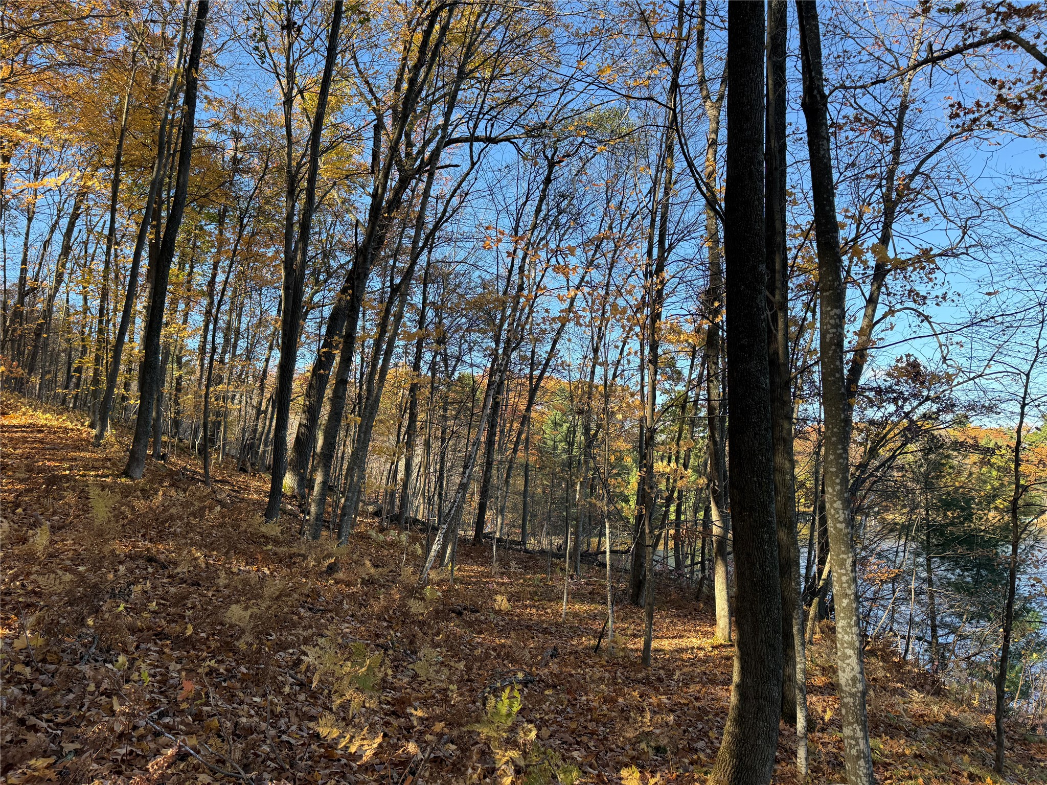 Xxx County Highway Md Property Photo 17