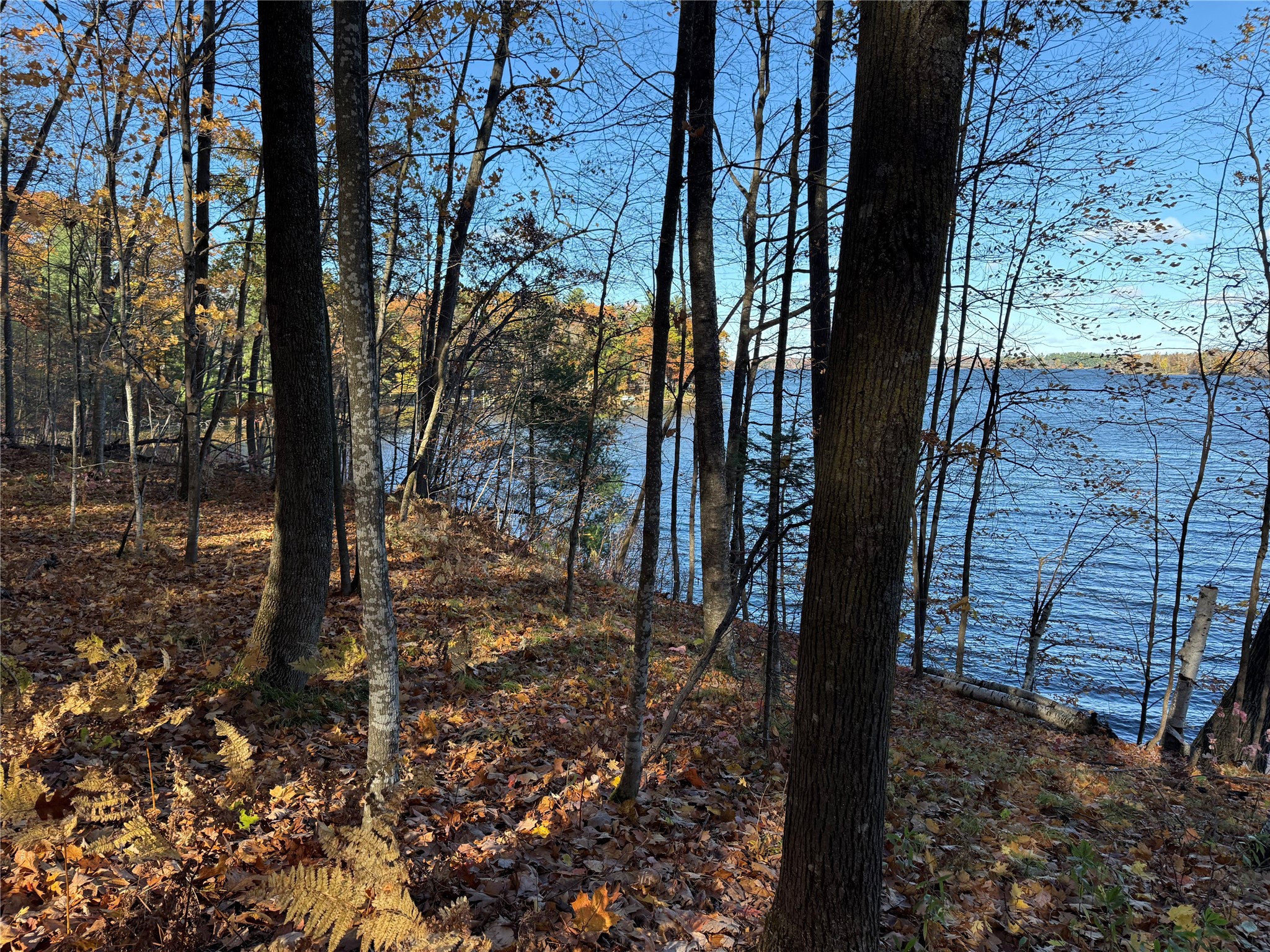 Xxx County Highway Md Property Photo 18