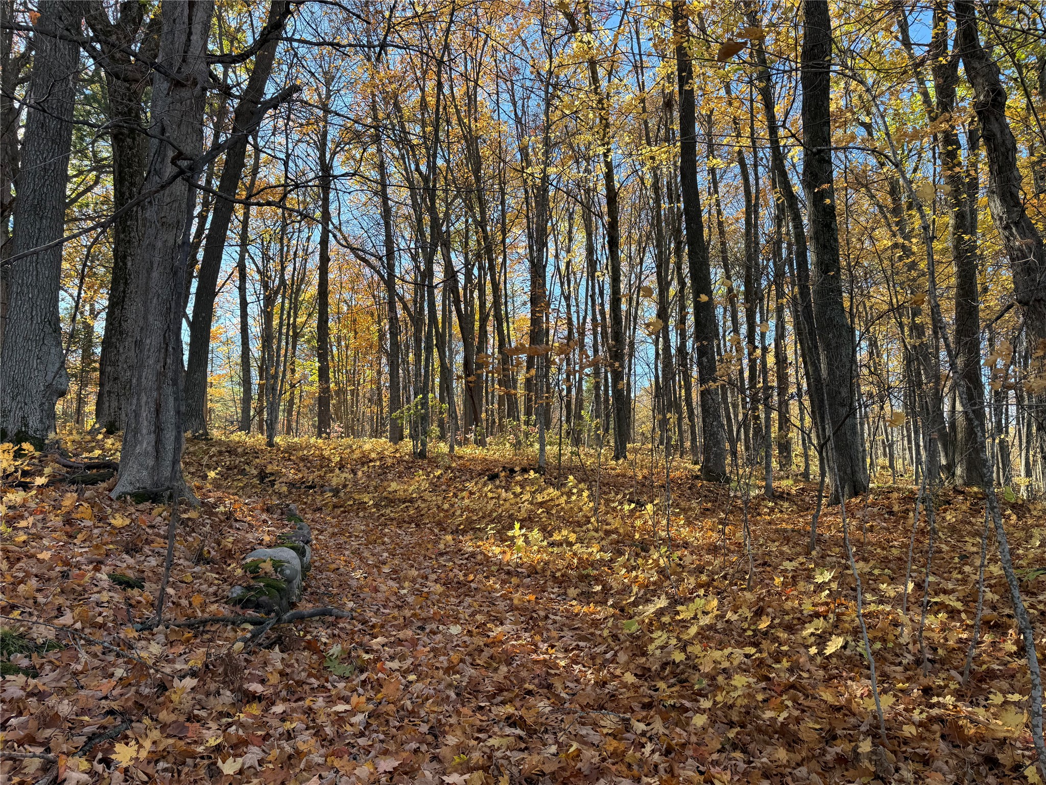 Xxx County Highway Md Property Photo 20