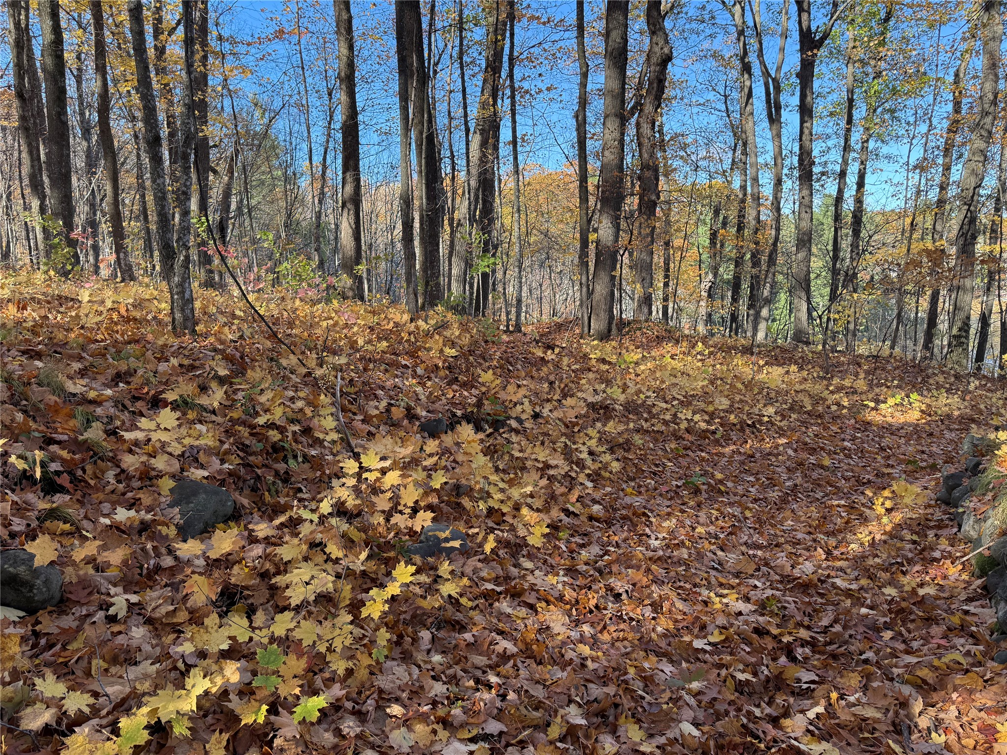 Xxx County Highway Md Property Photo 22