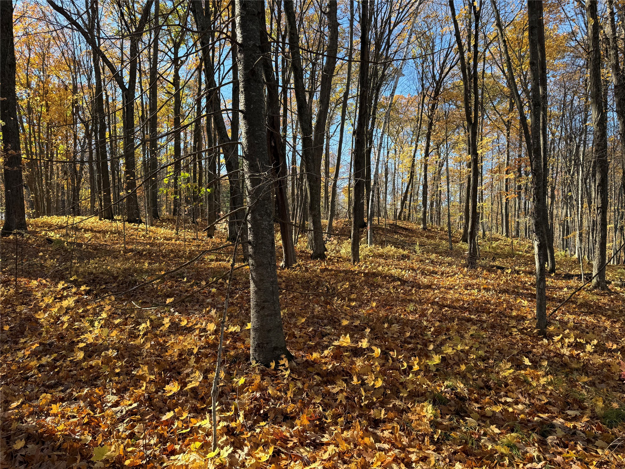 Xxx County Highway Md Property Photo 24
