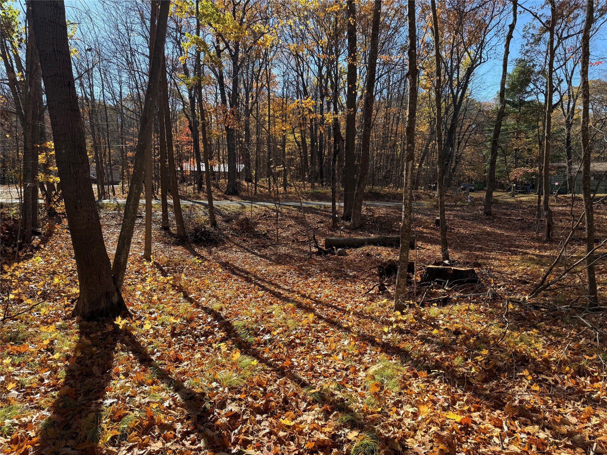 Xxx County Highway Md Property Photo 25