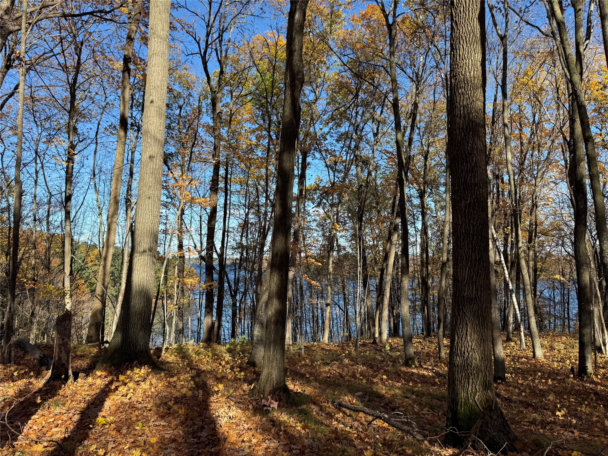 Xxx County Highway Md Property Photo 26
