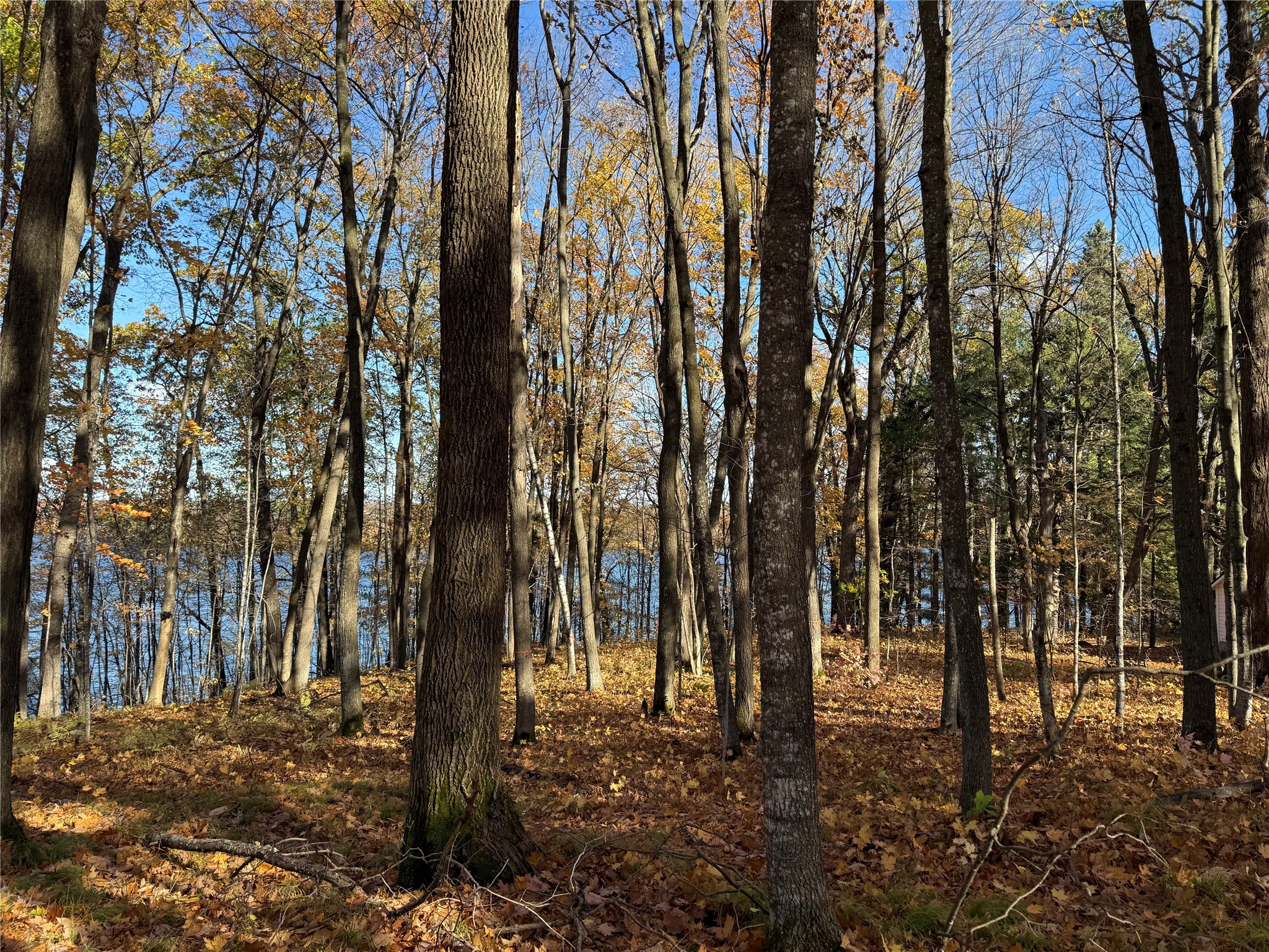 Xxx County Highway Md Property Photo 27