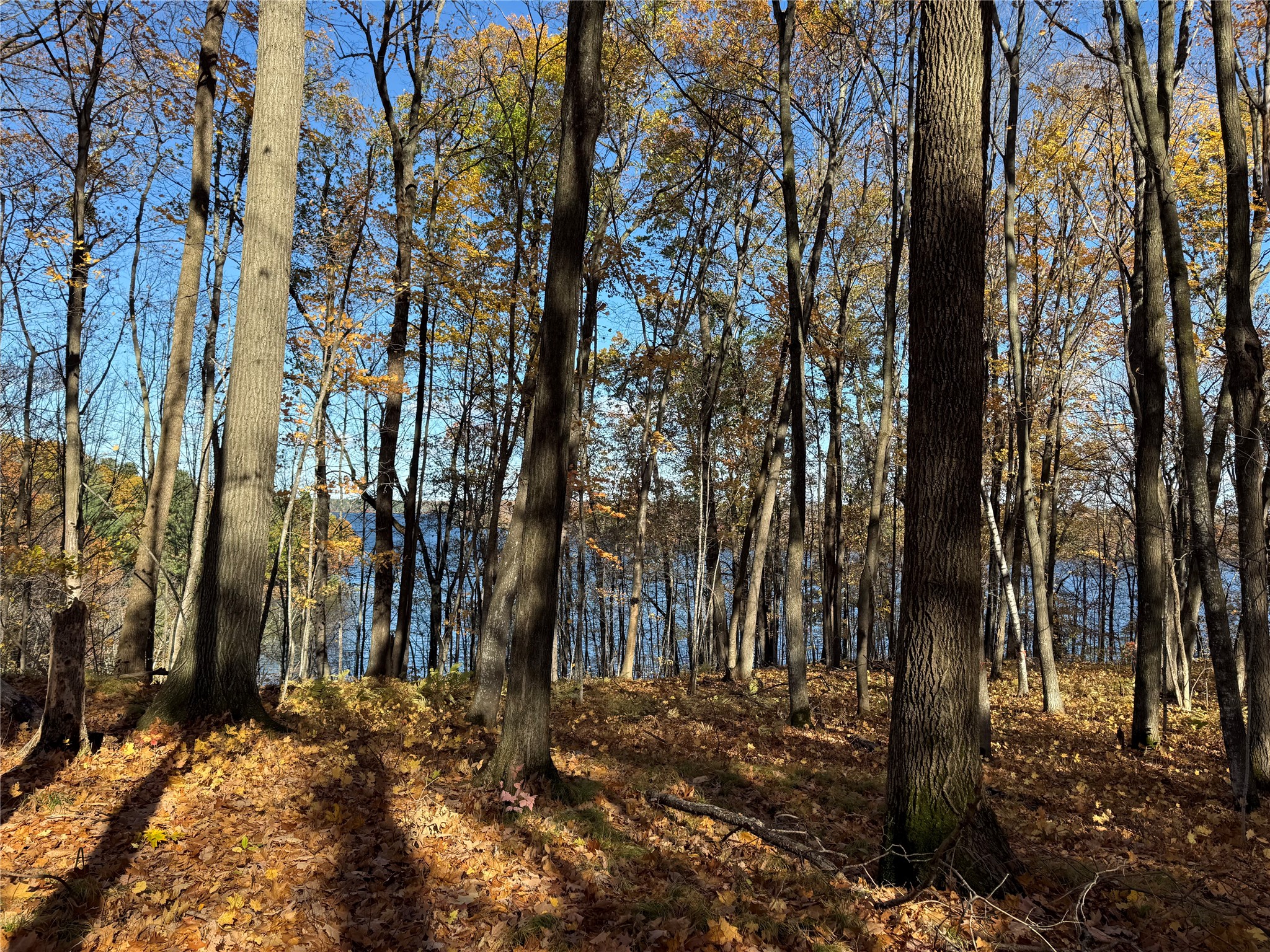Xxx County Highway Md Property Photo 28