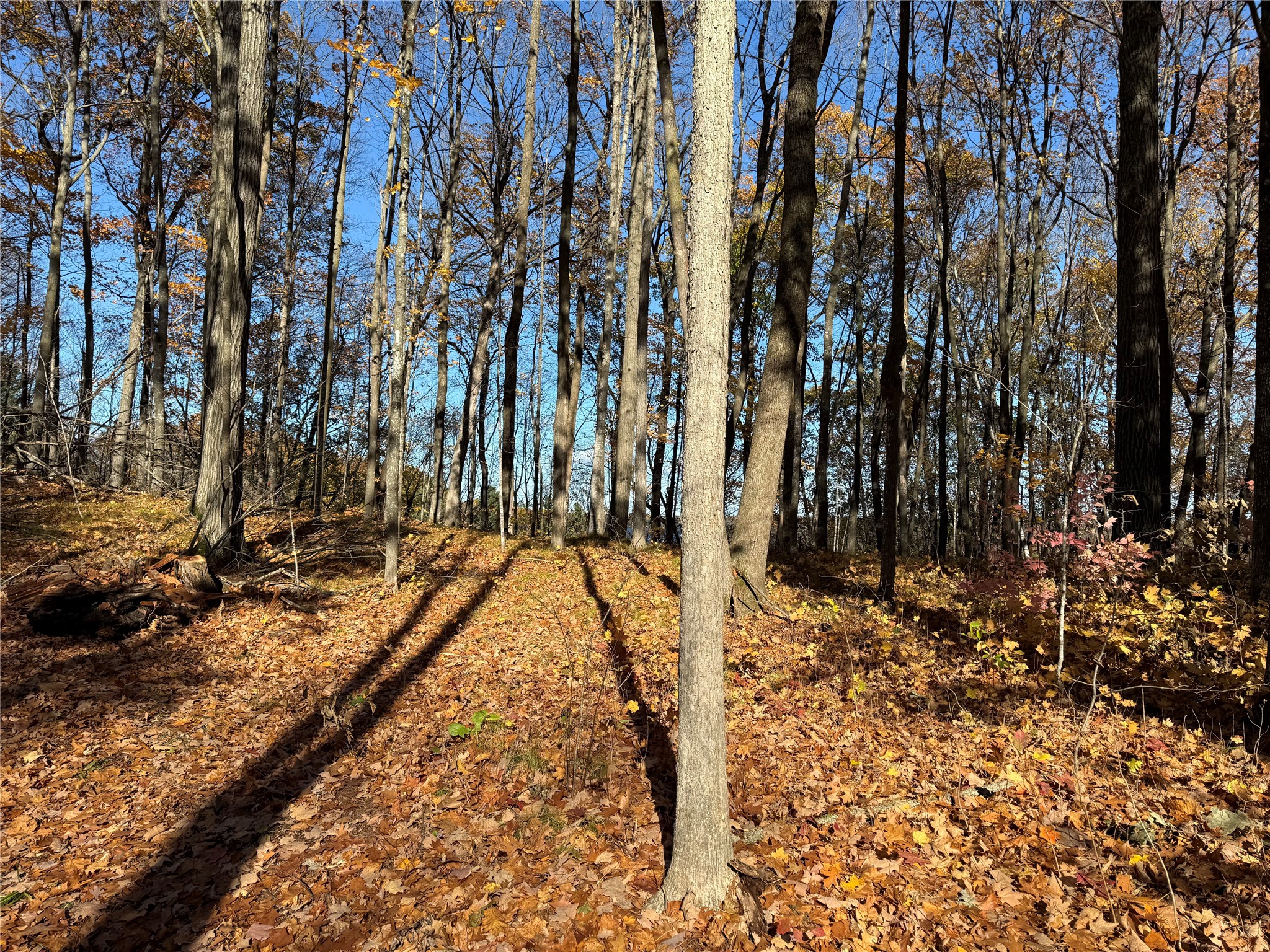 Xxx County Highway Md Property Photo 29