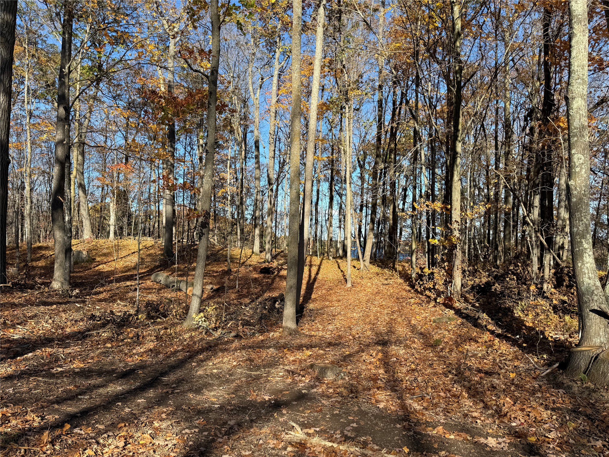 Xxx County Highway Md Property Photo 30