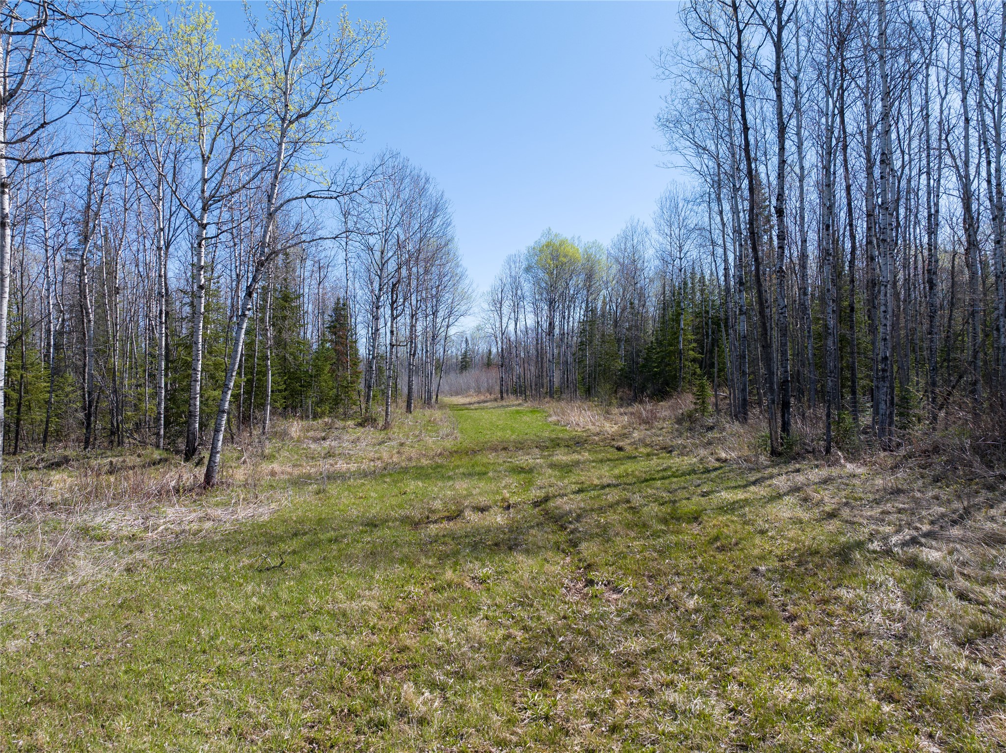 Tbd Swedlund Road Property Photo 1