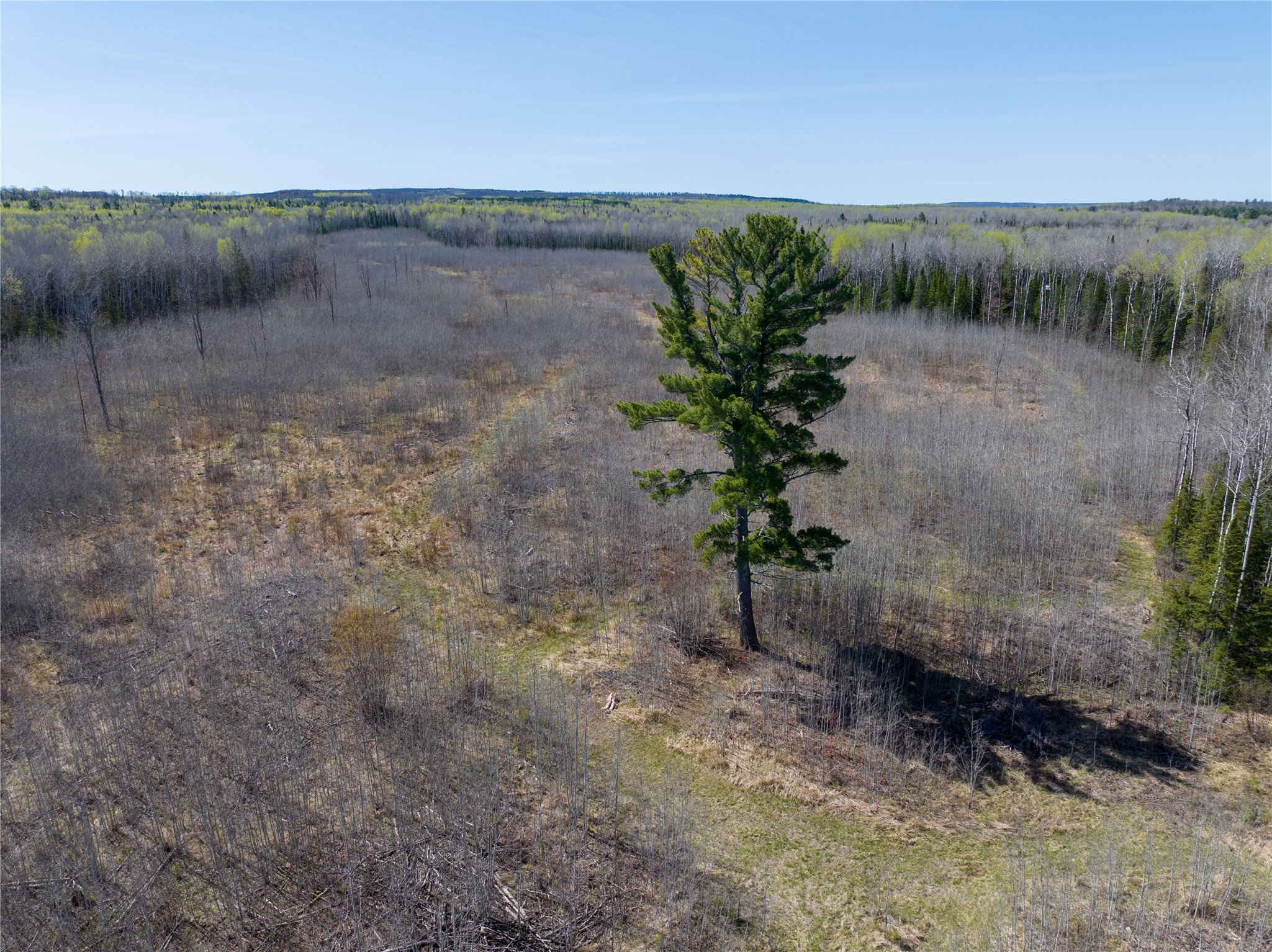 Tbd Swedlund Road Property Photo 2
