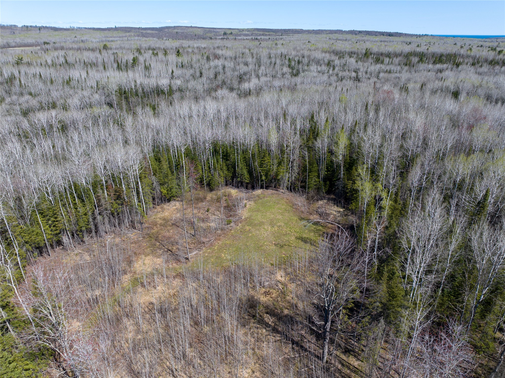 Tbd Swedlund Road Property Photo 3