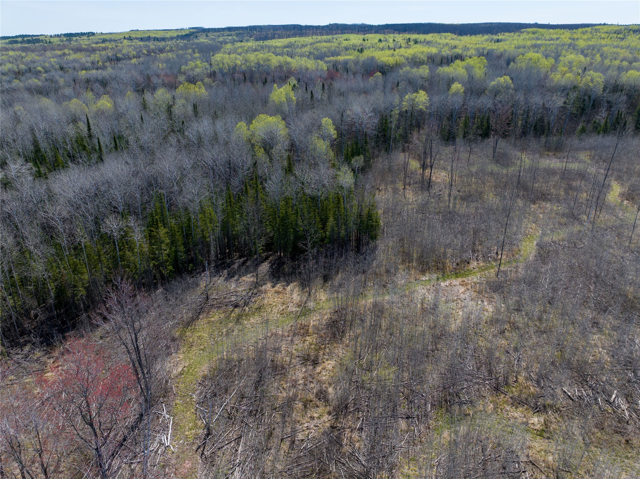 Tbd Swedlund Road Property Photo 4