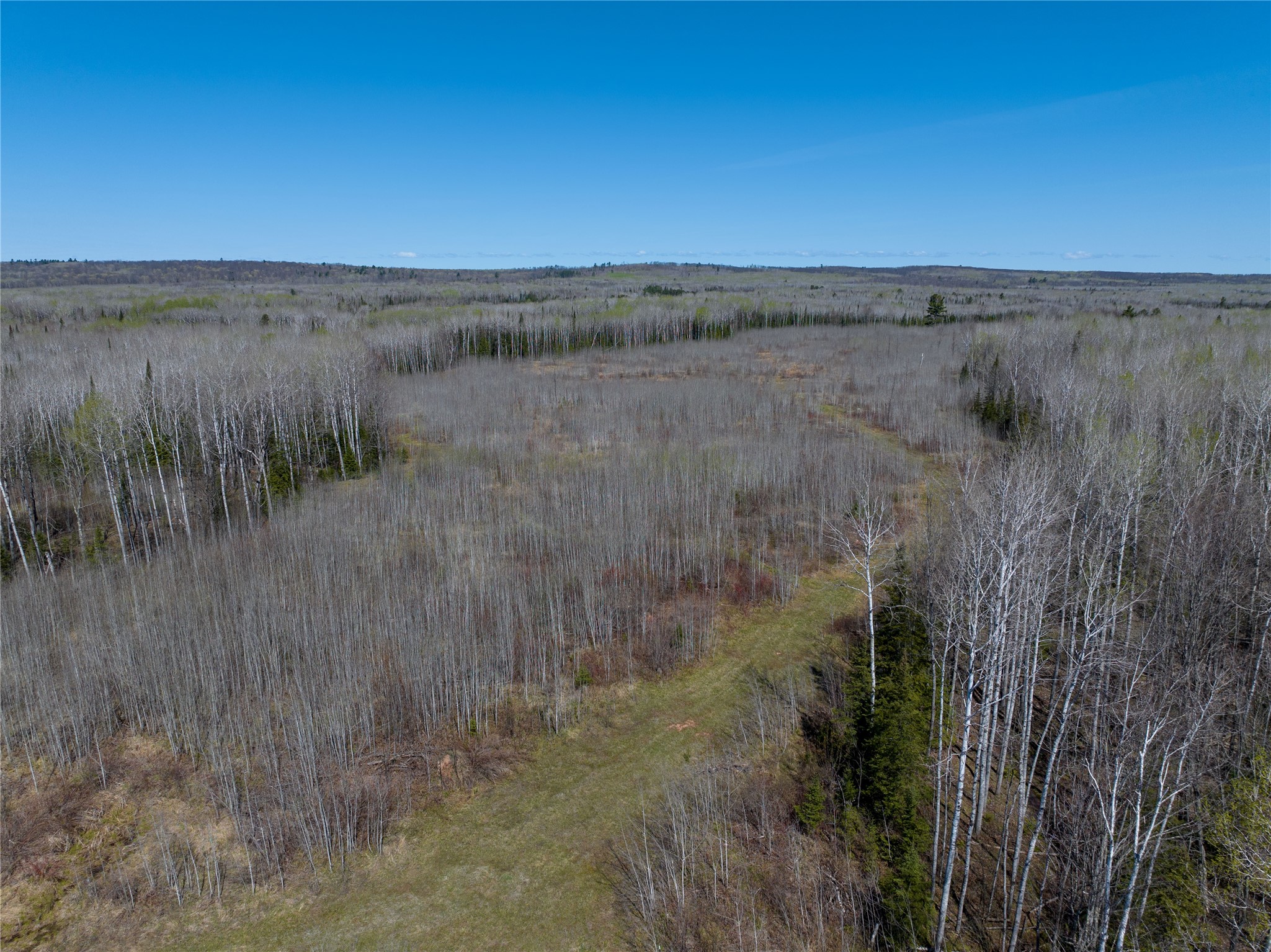 Tbd Swedlund Road Property Photo 5