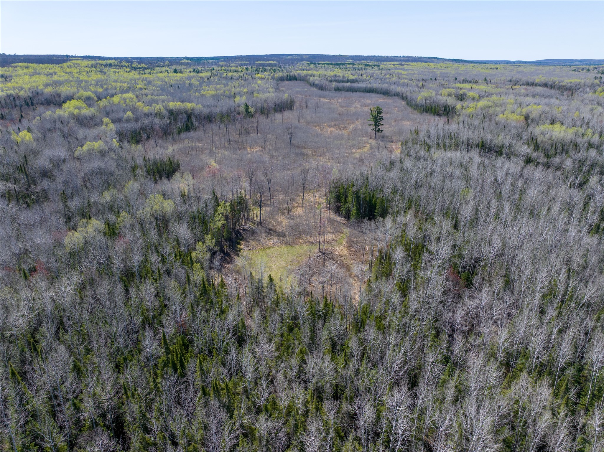 Tbd Swedlund Road Property Photo 8