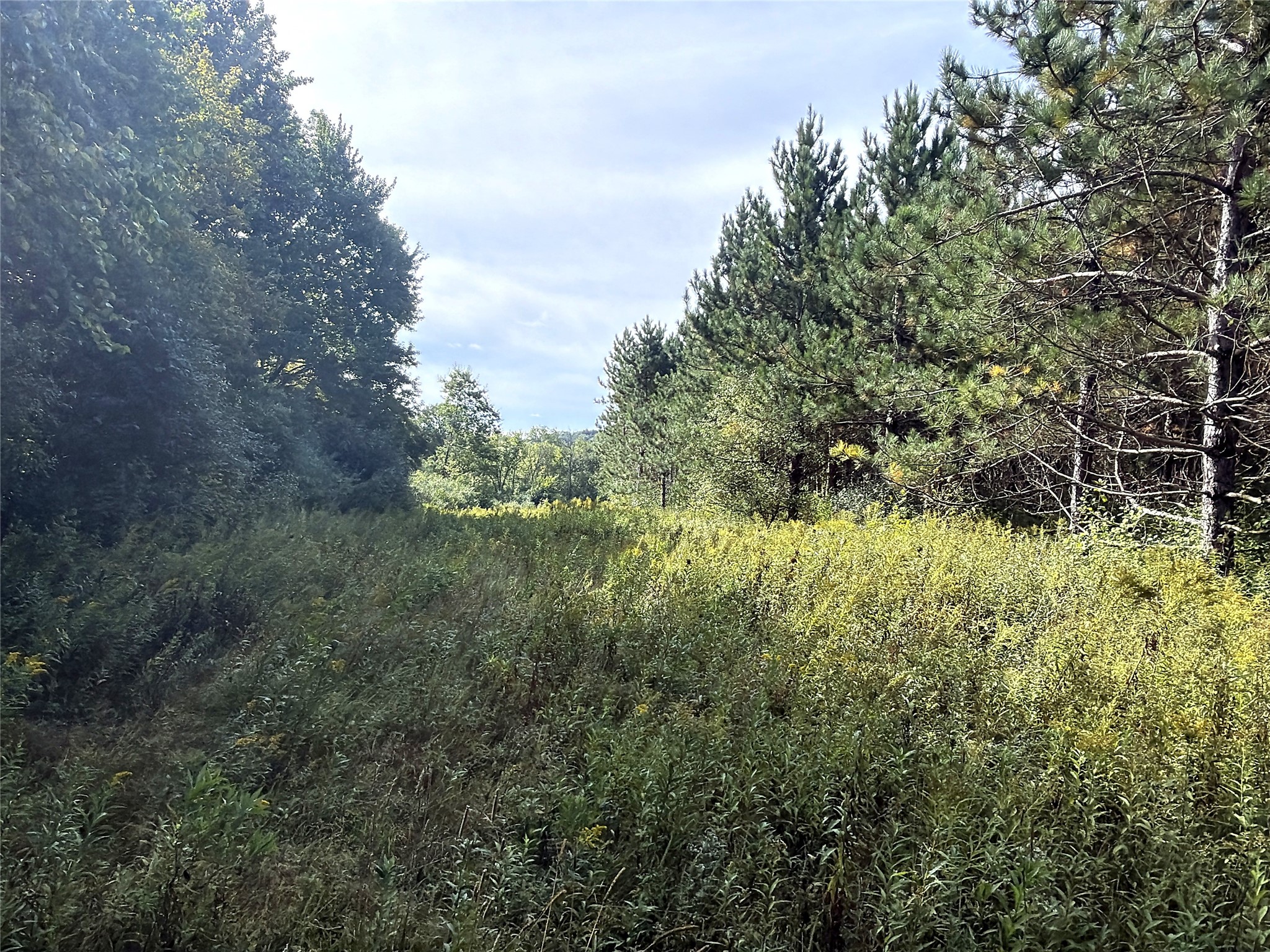 0 3 1/2 Avenue Property Photo 10