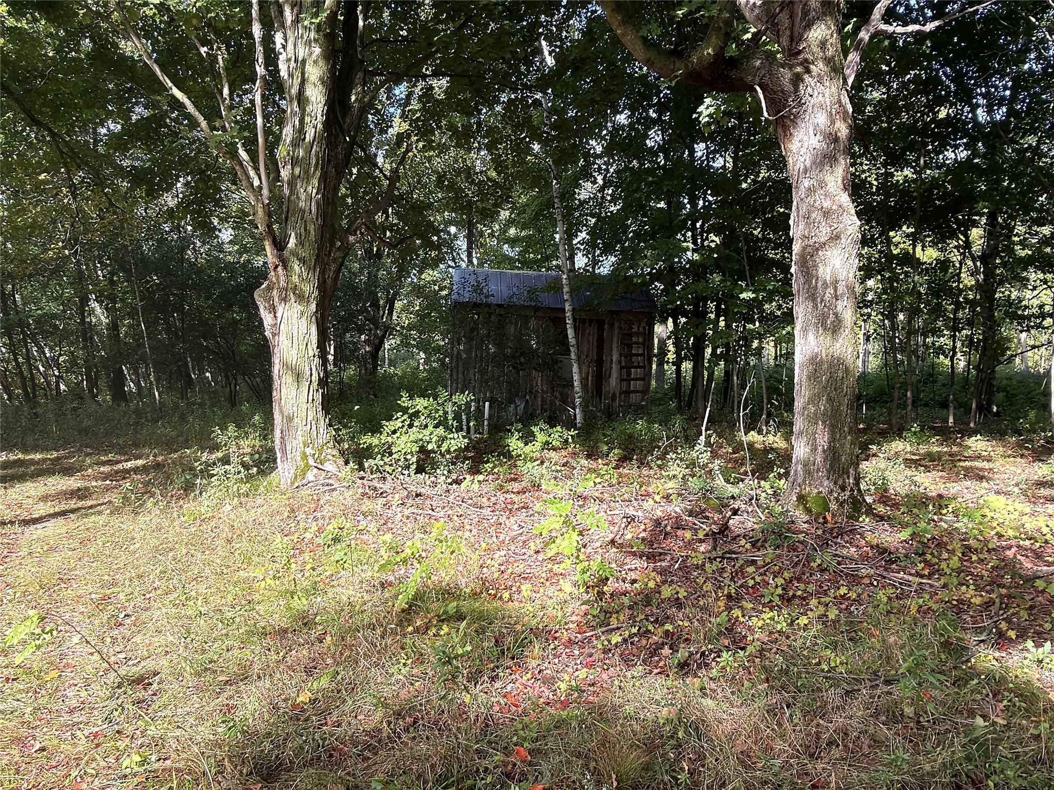 0 3 1/2 Avenue Property Photo 12