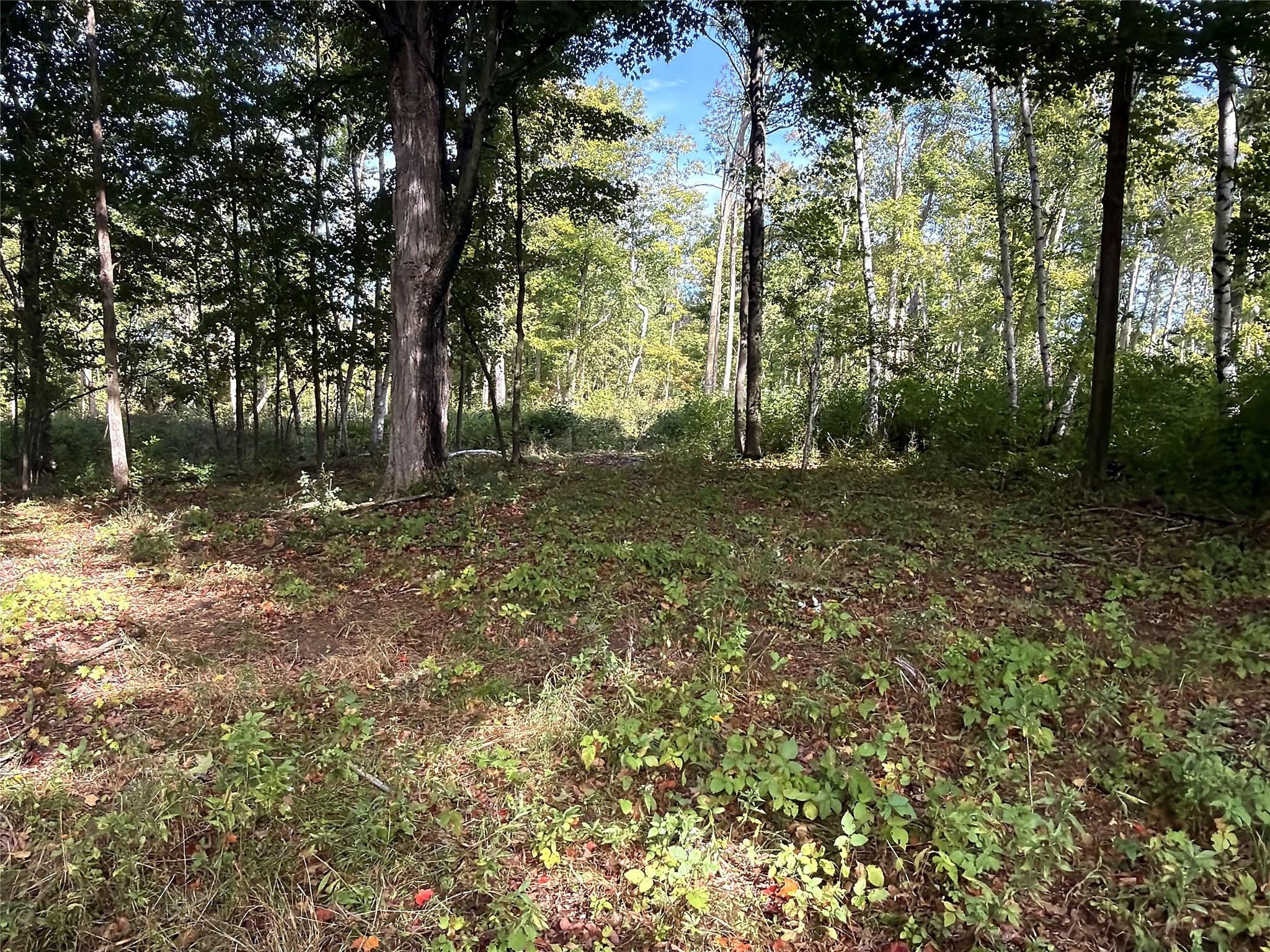 0 3 1/2 Avenue Property Photo 13