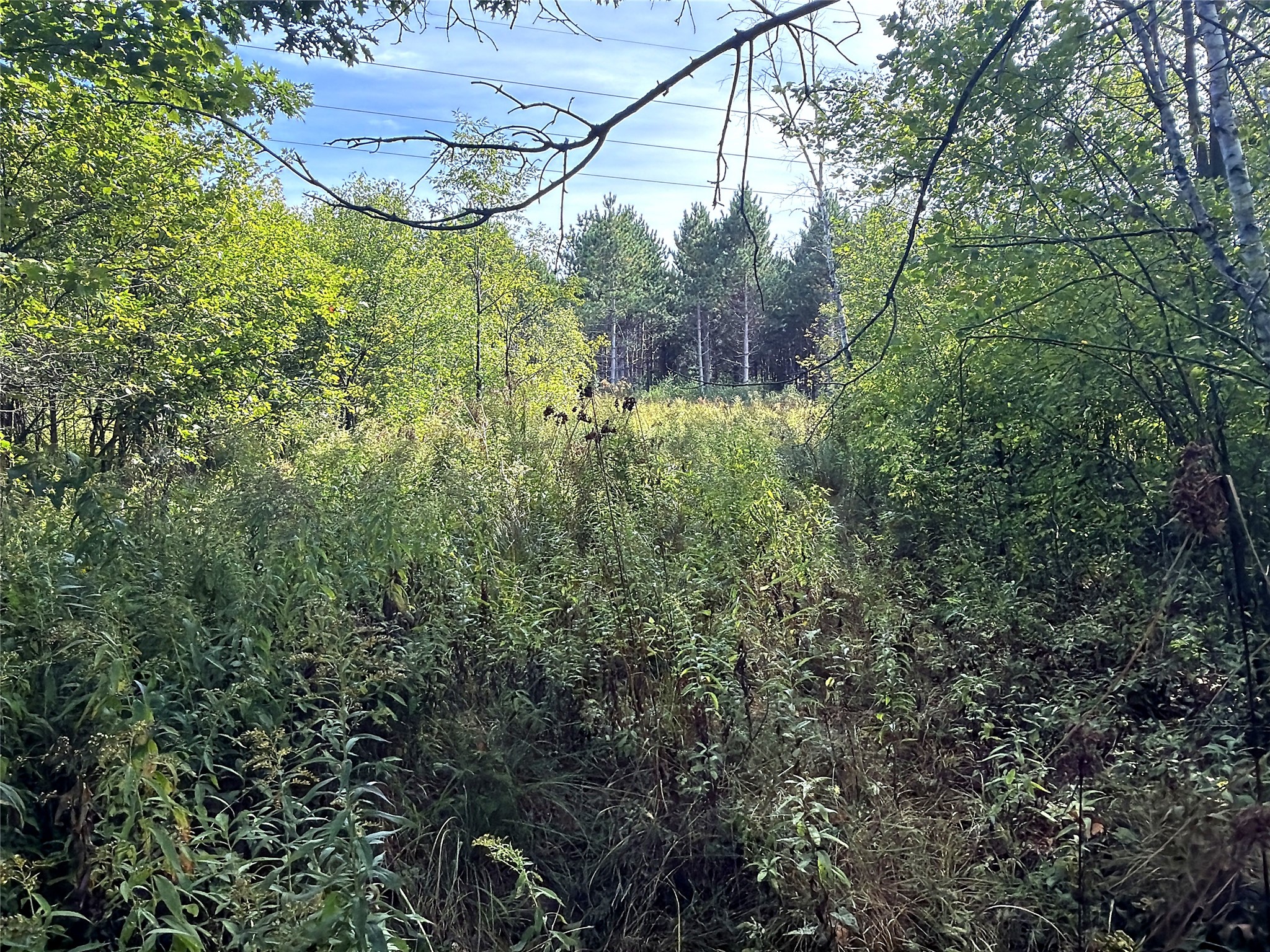 0 3 1/2 Avenue Property Photo 16