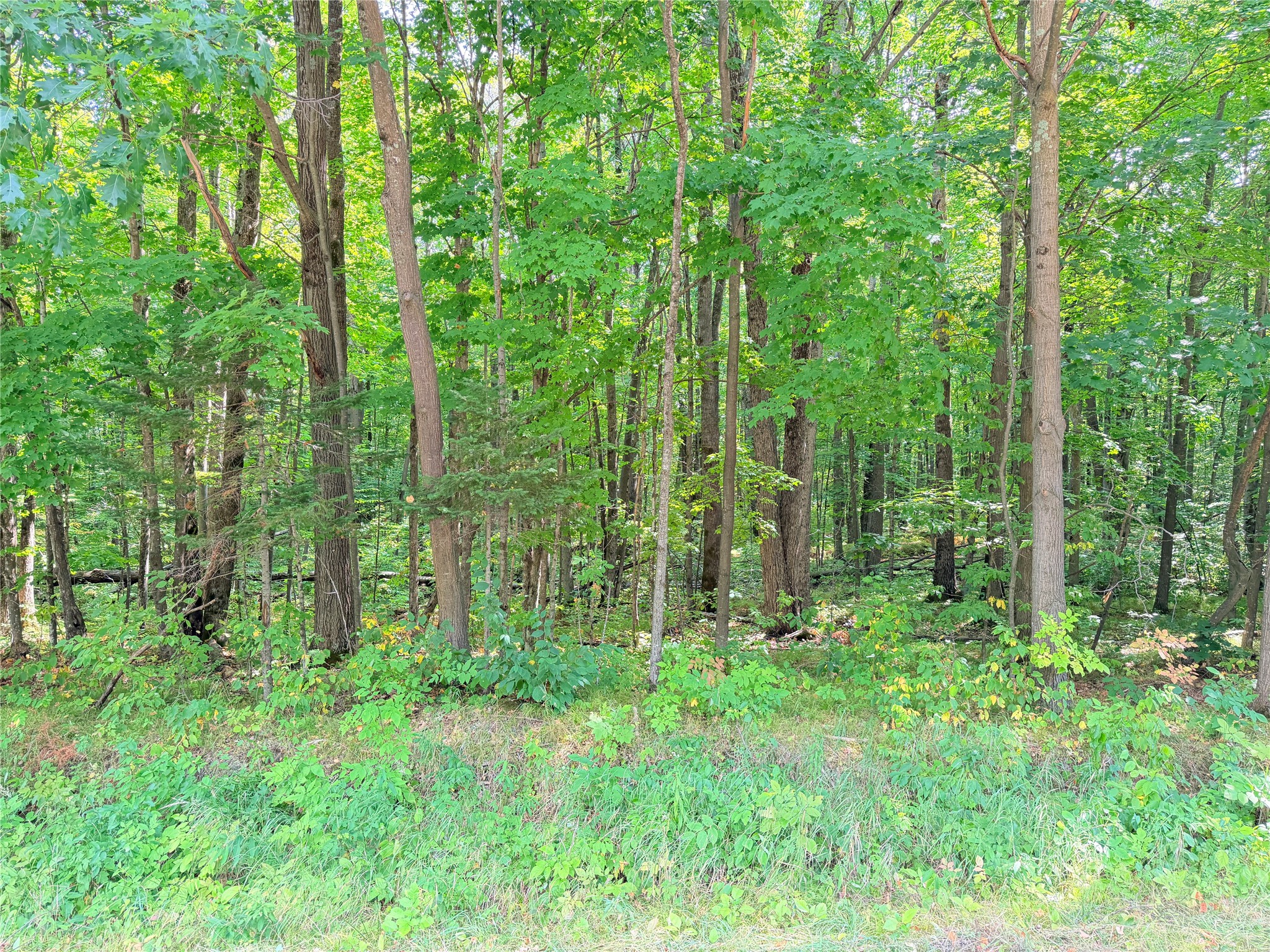 30 Acres County Highway X Property Photo 1